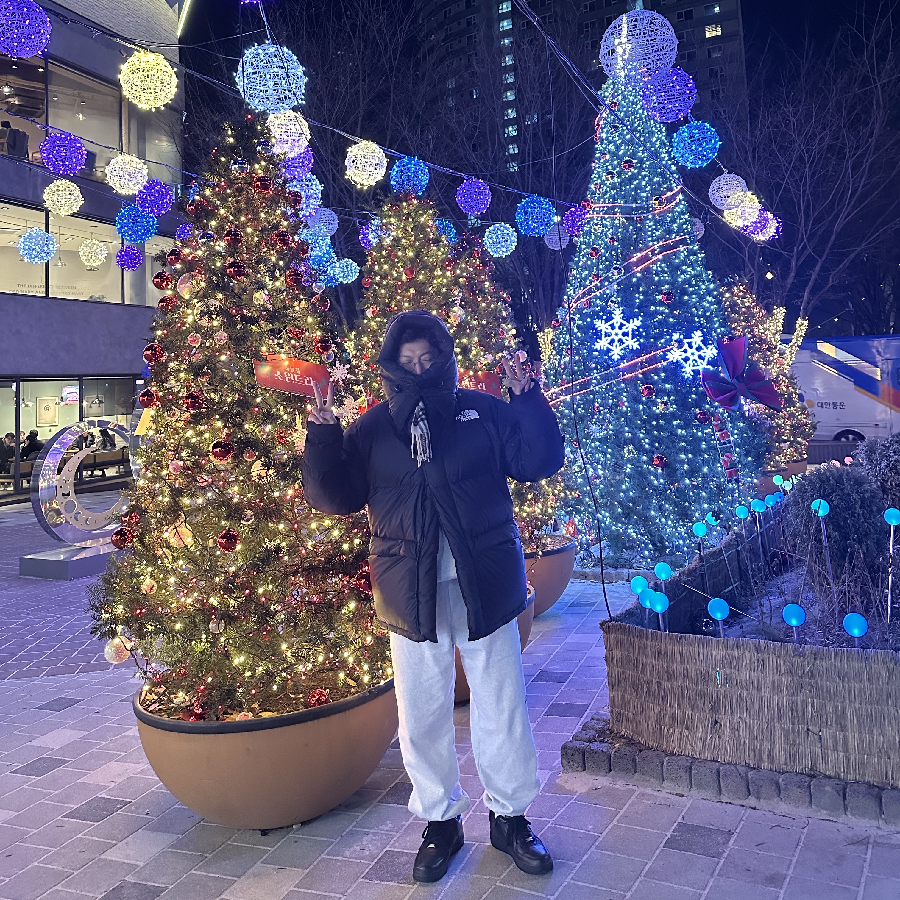 The North Face Him Down Parka Black, Nike x 1017 Alyx 9SM Air Force 1 Low SP Black 착용 스타일
