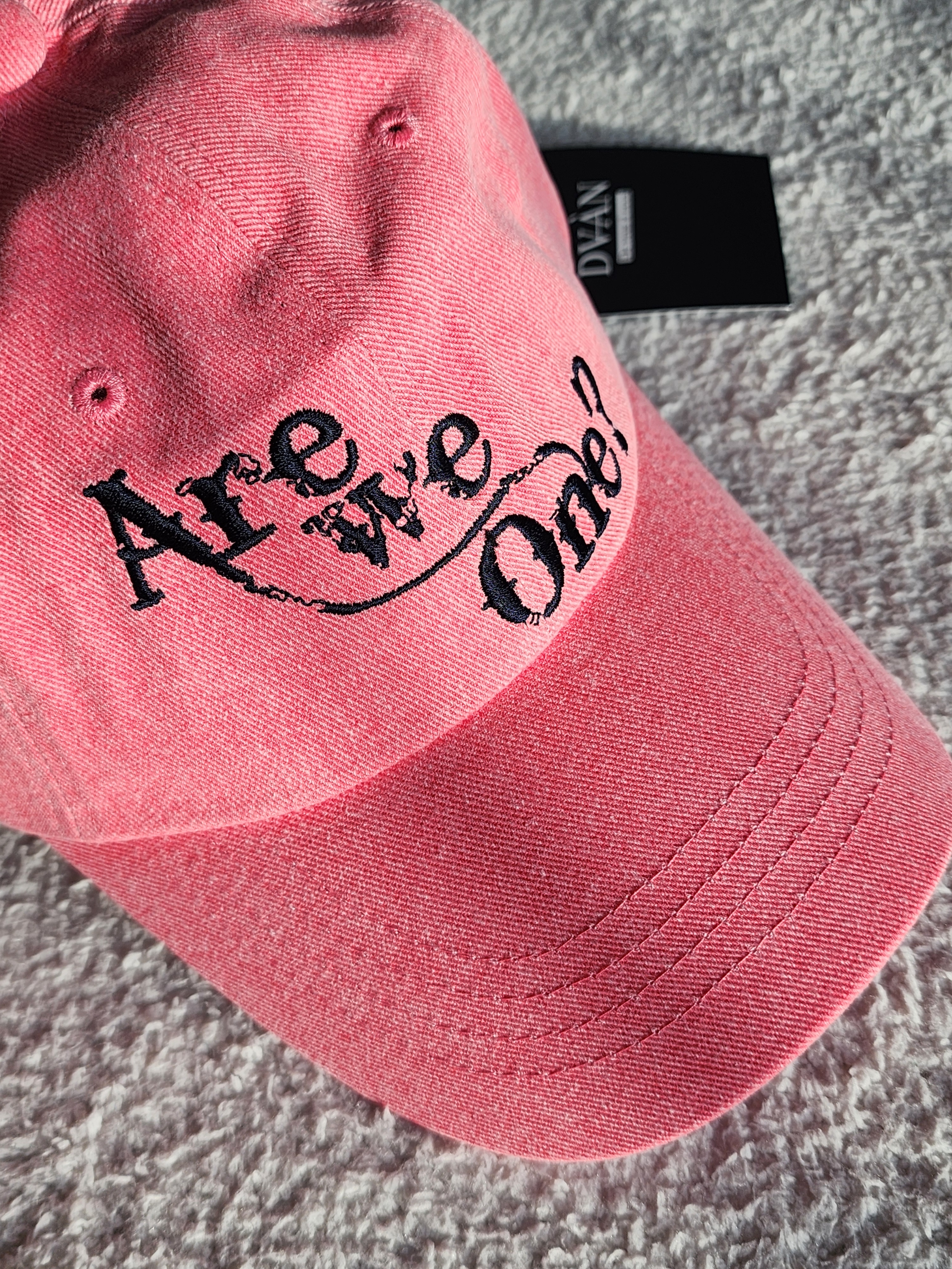 DVAN Are We One? Pigment Emb Ball Cap Neon Pink 착용 스타일 - 6
