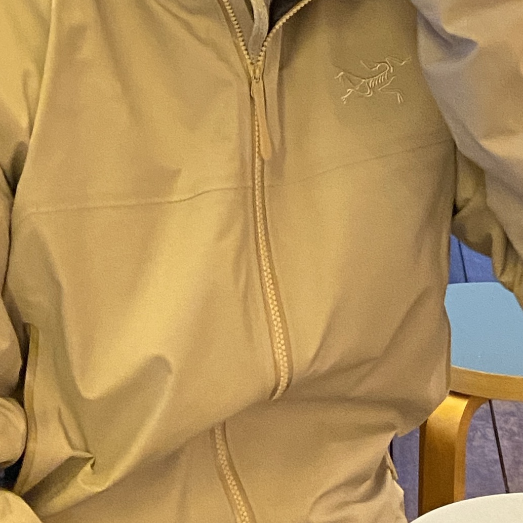 Arc'teryx Beta Jacket Rune 착용 스타일