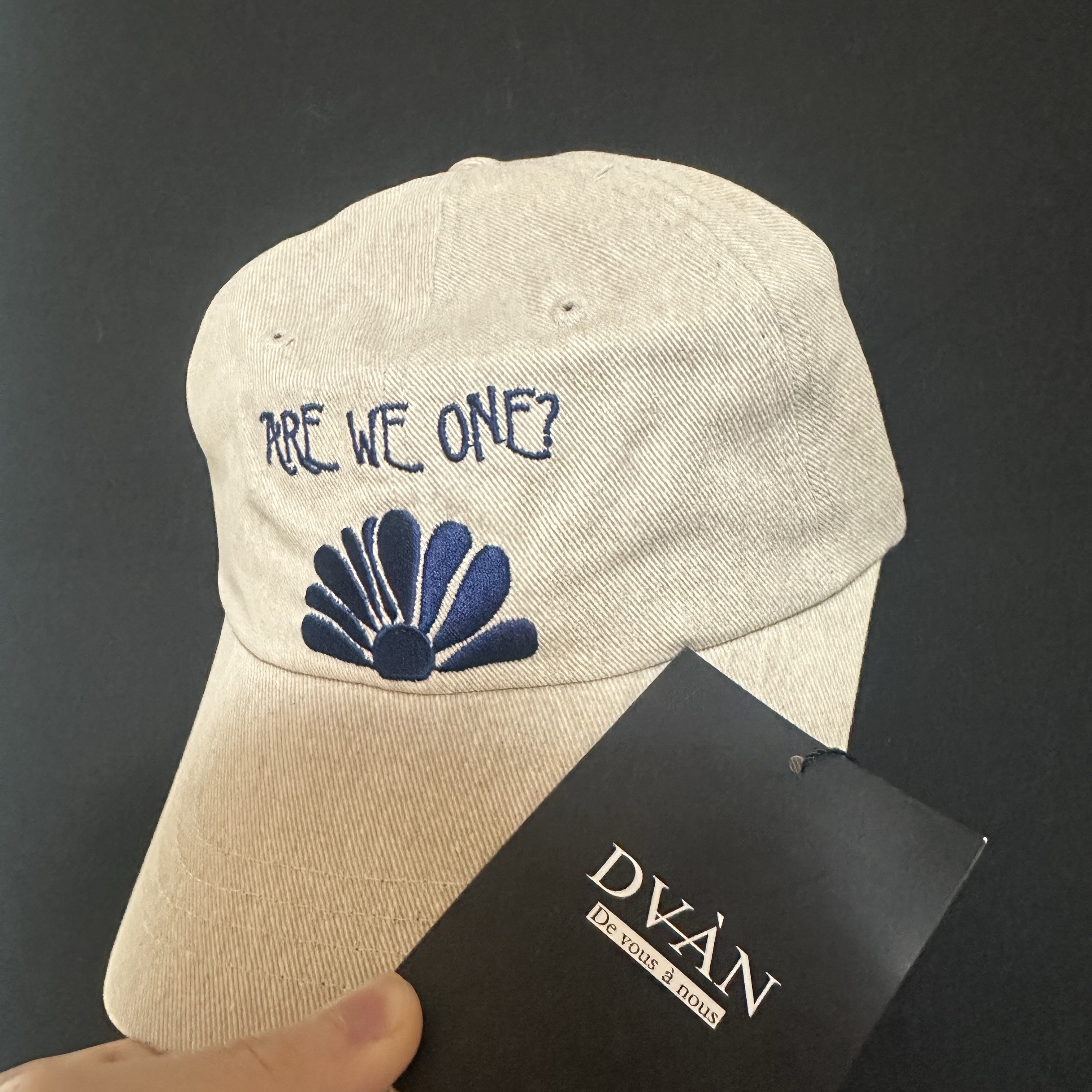 DVAN Daisy Rise Emb Ball Cap Beige 착용 스타일