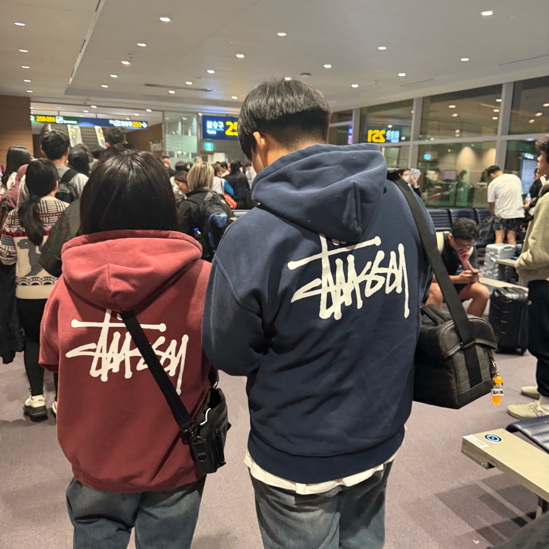 스투시 베이직 스투시 후드 옥스블러드 2024 | Stussy | KREAM