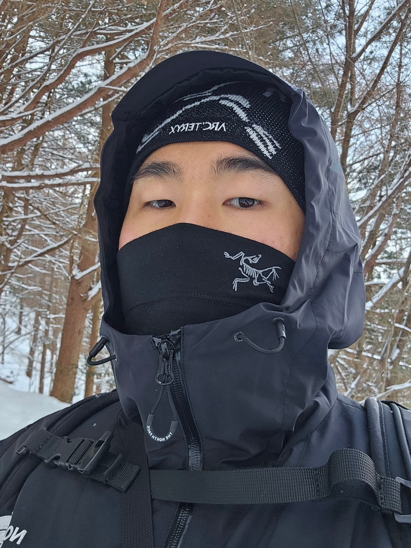 Arc'teryx Bird Head Toque Orca, Arc'teryx Rho Neck Gaiter Long Black 착용 스타일 - 2