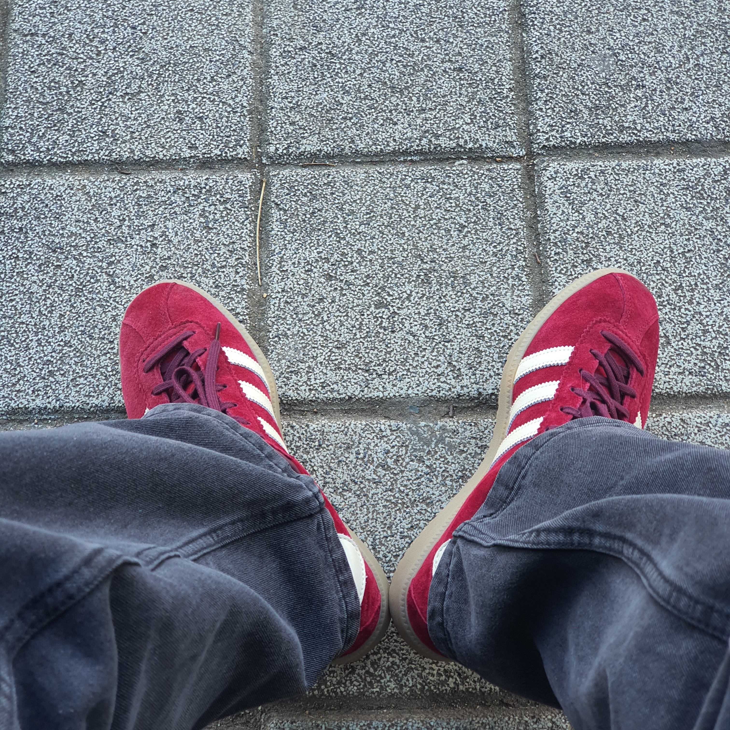 Adidas Bermuda College Burgundy 착용 스타일