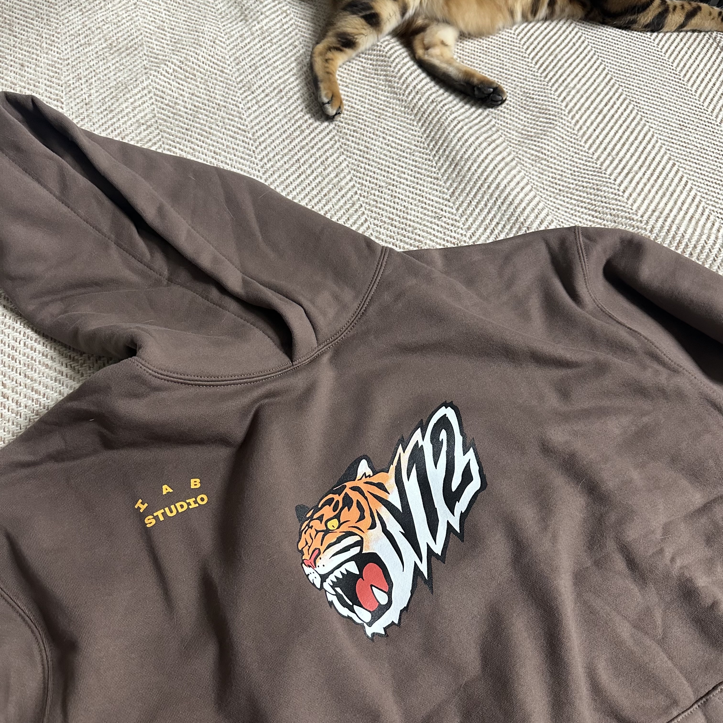 Kia Tigers x IAB Studio V12 Hoodie Brown 착용 스타일