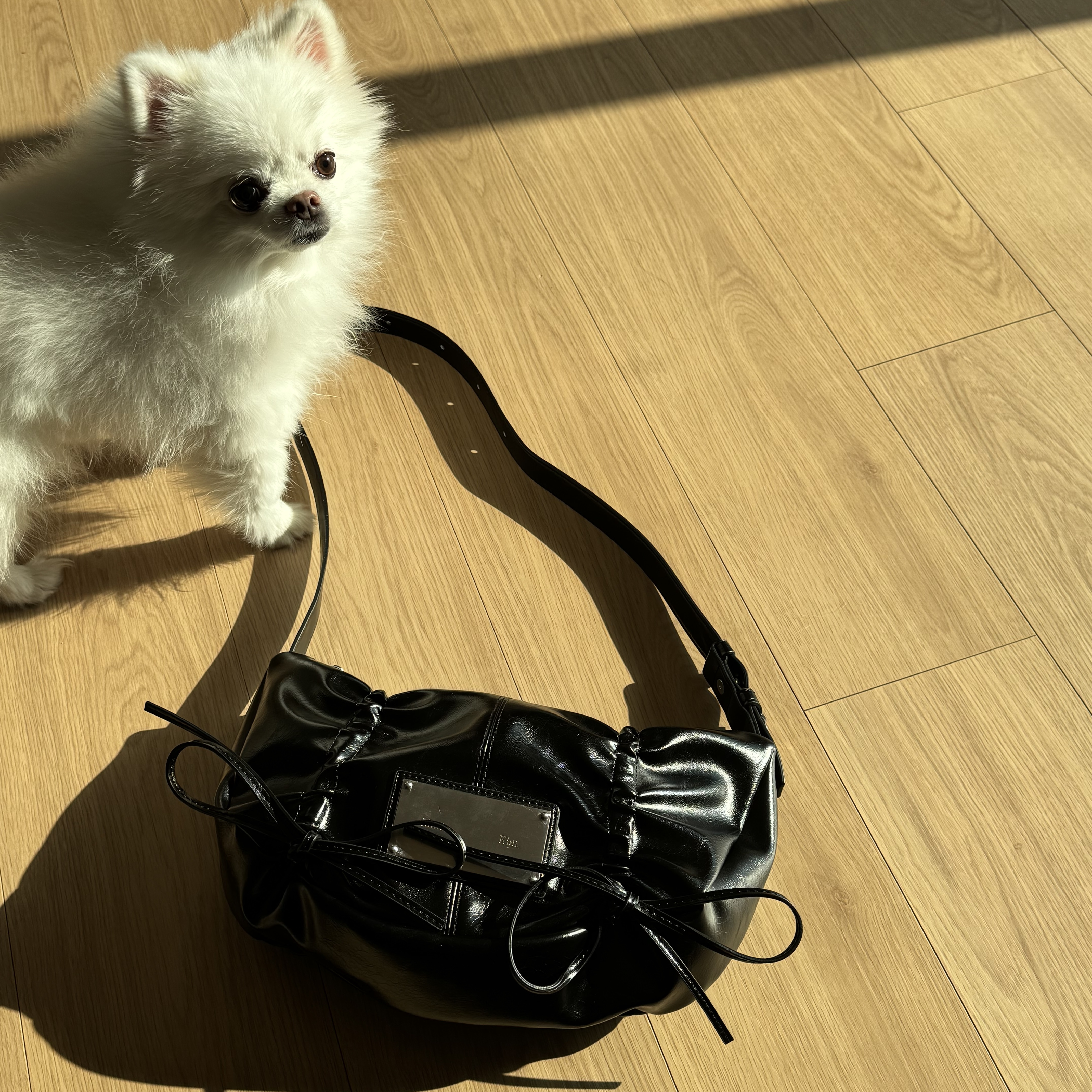 Matin Kim Half Shirring Ribbon Round Bag Black 착용 스타일 - 2
