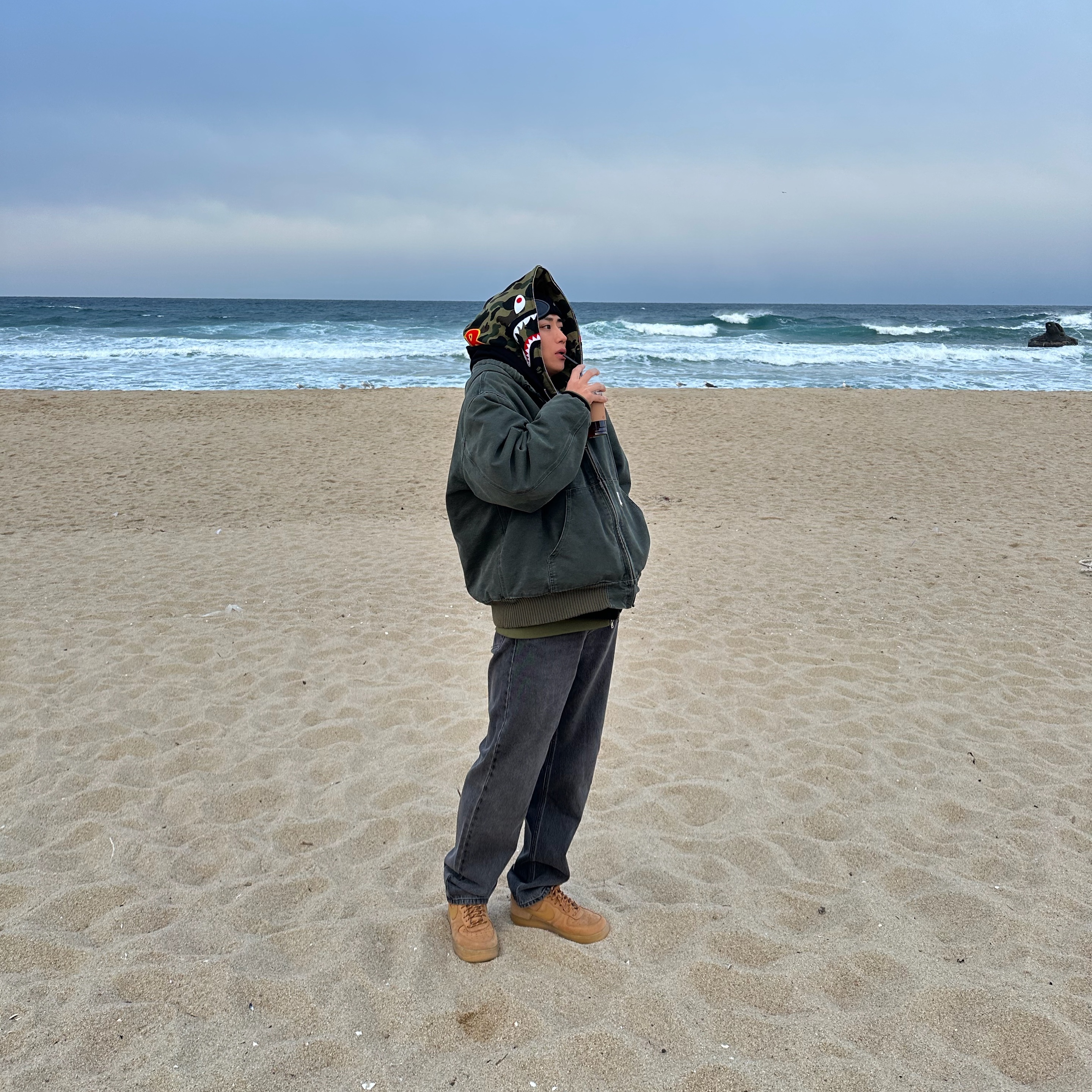 BAPE PONR 1st Camo 2nd Shark Full Zip Hoodie Green, Nike Air Force 1 '07 WB Flax 착용 스타일 - 1