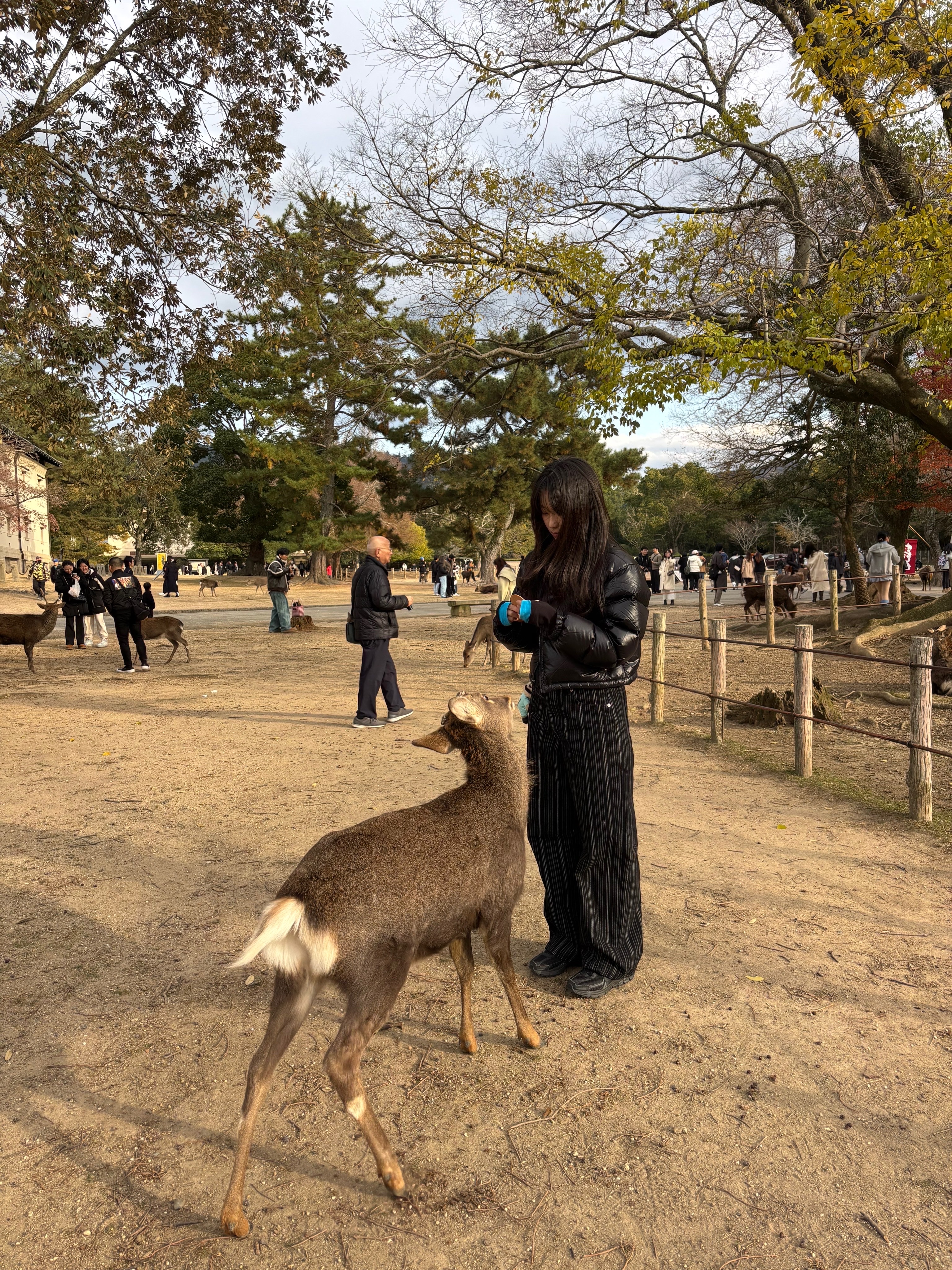 (W) The North Face Nuptse Short Jacket Black, Nike Zoom Vomero 5 SP Black 착용 스타일