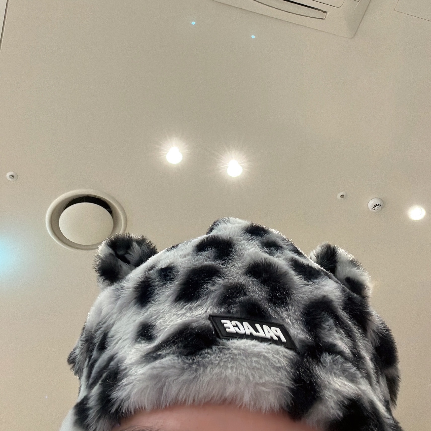 Palace Furry Ears Nein Cuff Beanie Snow Leopard - 24FW 착용 스타일