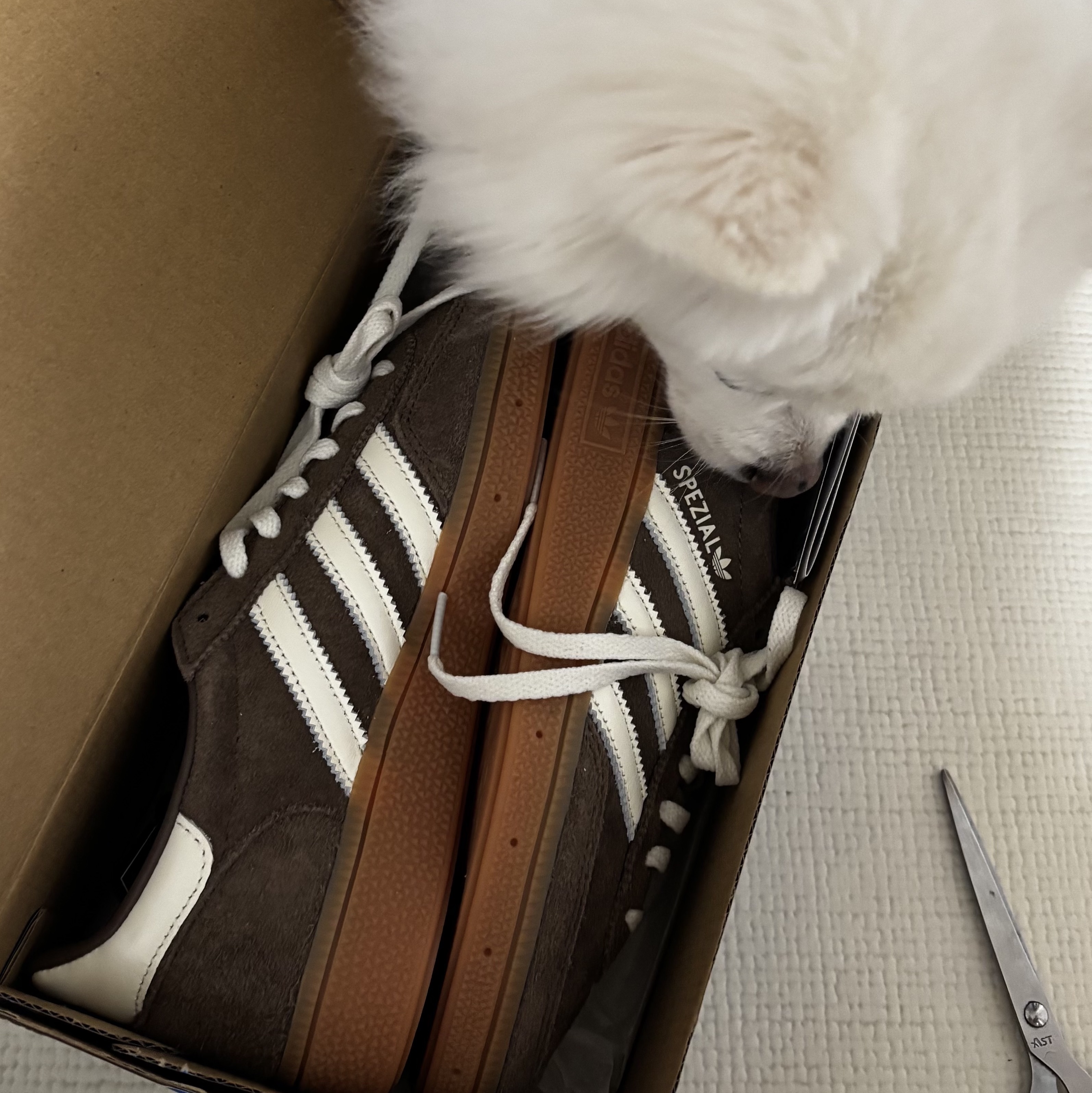 (W) Adidas Spezial Handball Earth Strata Off White 착용 스타일 - 2