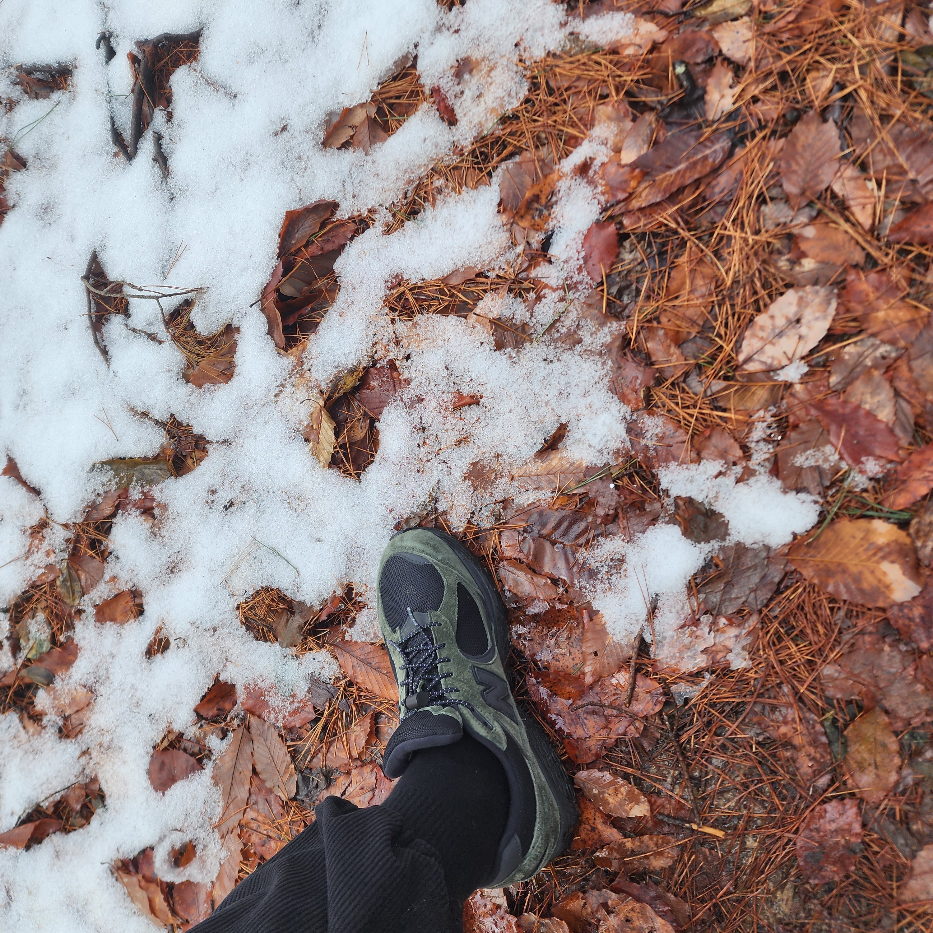 New Balance x JJJJound 2002R Gore-Tex Pine 착용 스타일