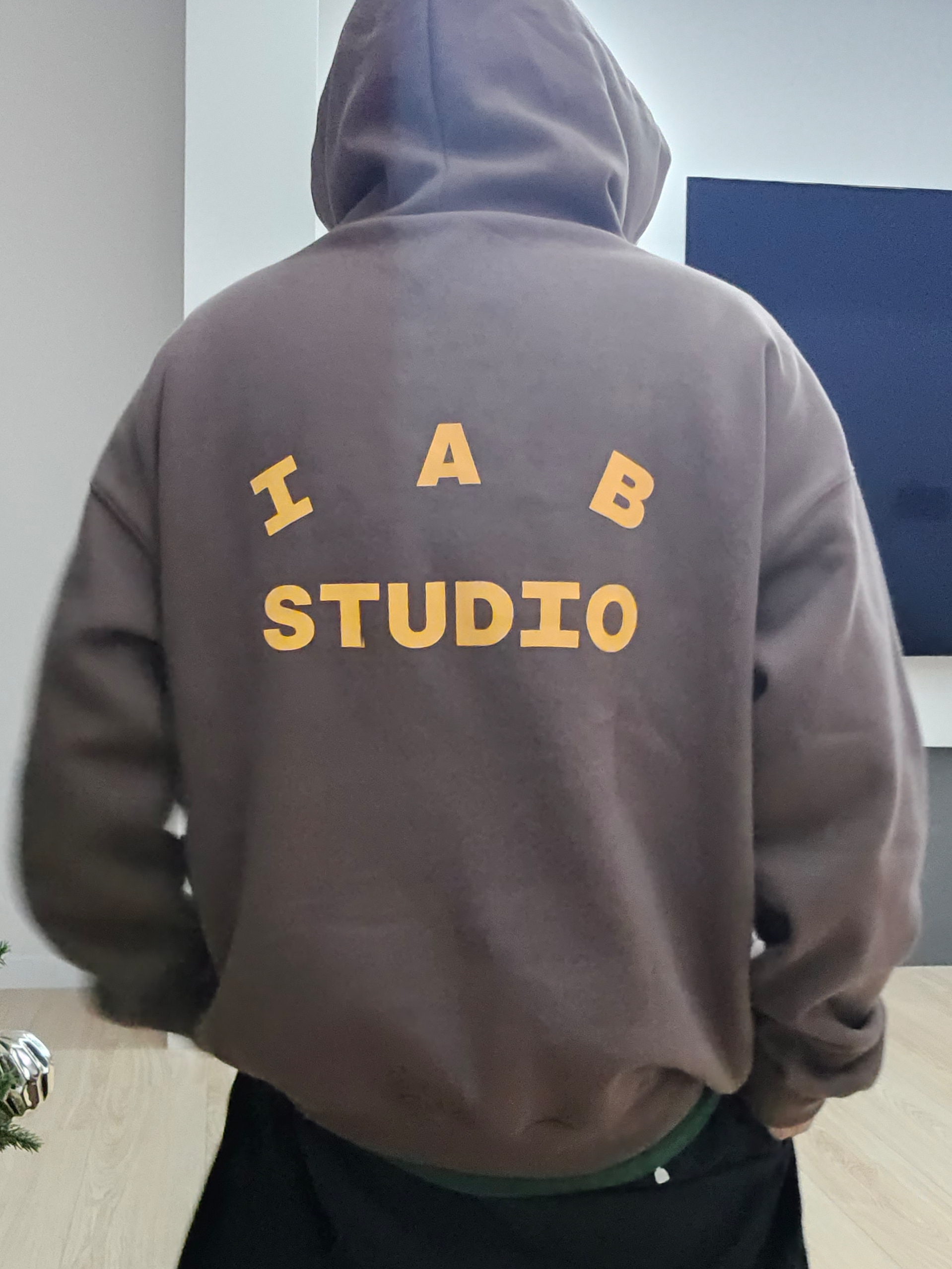 Kia Tigers x IAB Studio V12 Hoodie Brown 착용 스타일 - 2