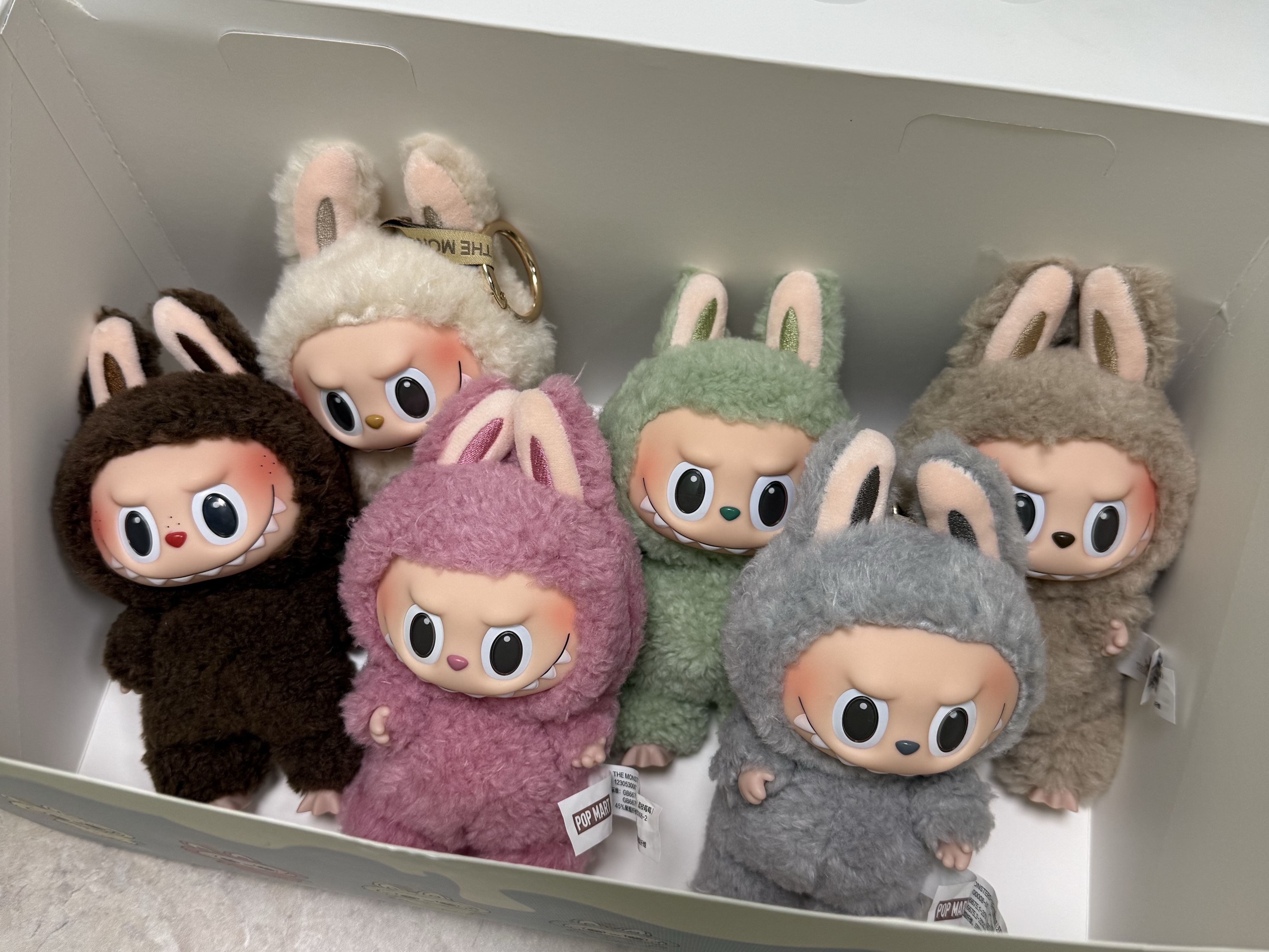 Pop Mart The Monsters Labubu Tasty Macarons Series Sealed Case (6 Blind Boxes) 착용 스타일