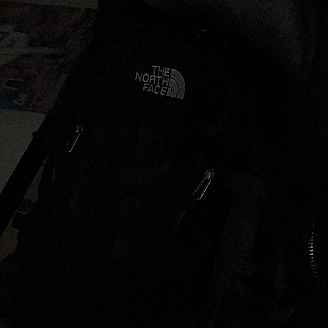 The North Face Big Shot Black 착용 스타일