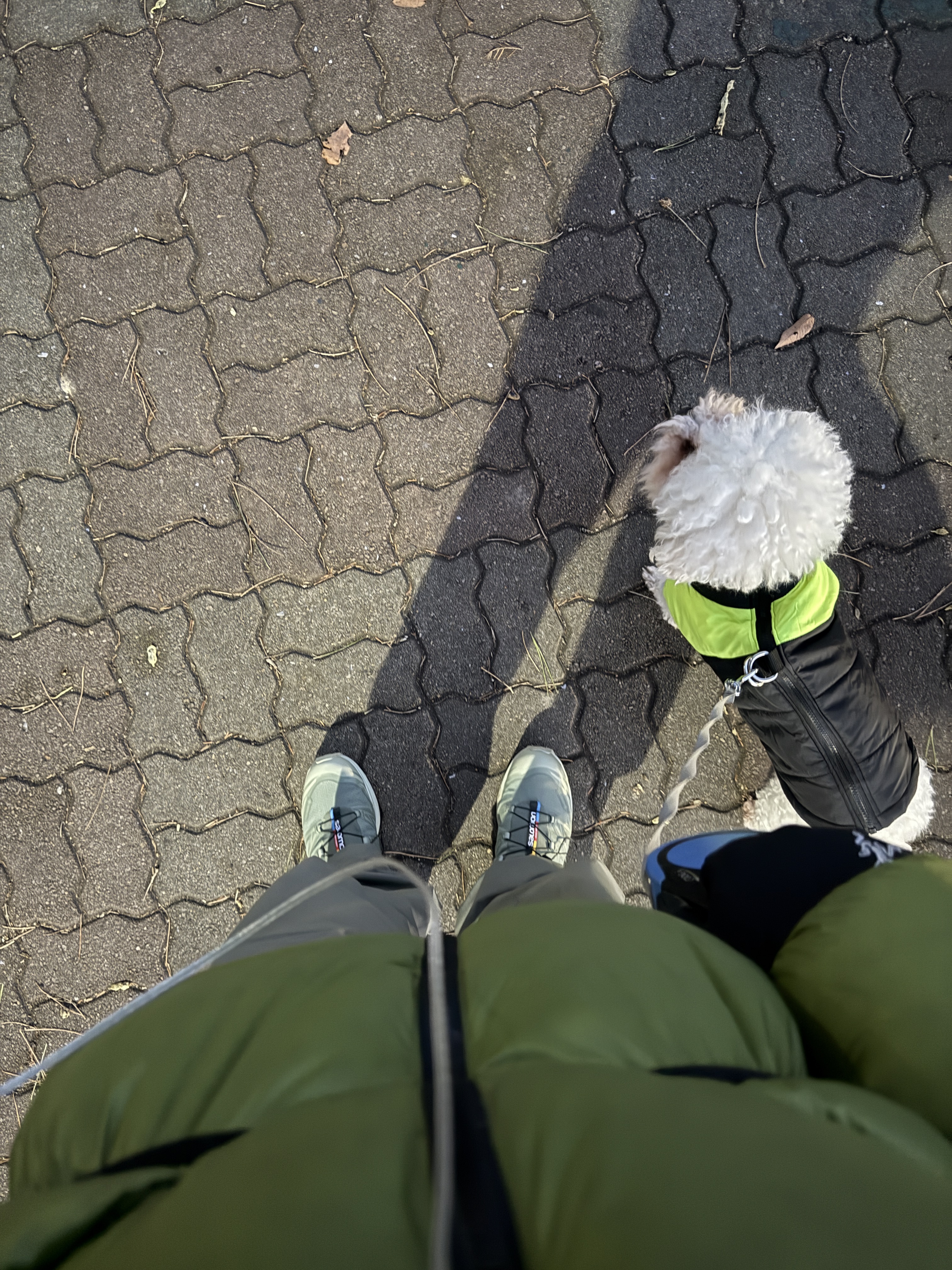 Feathered Friends Helios Hooded Down Jacket Grass, Salomon XT-6 GTX Desert Sage 착용 스타일