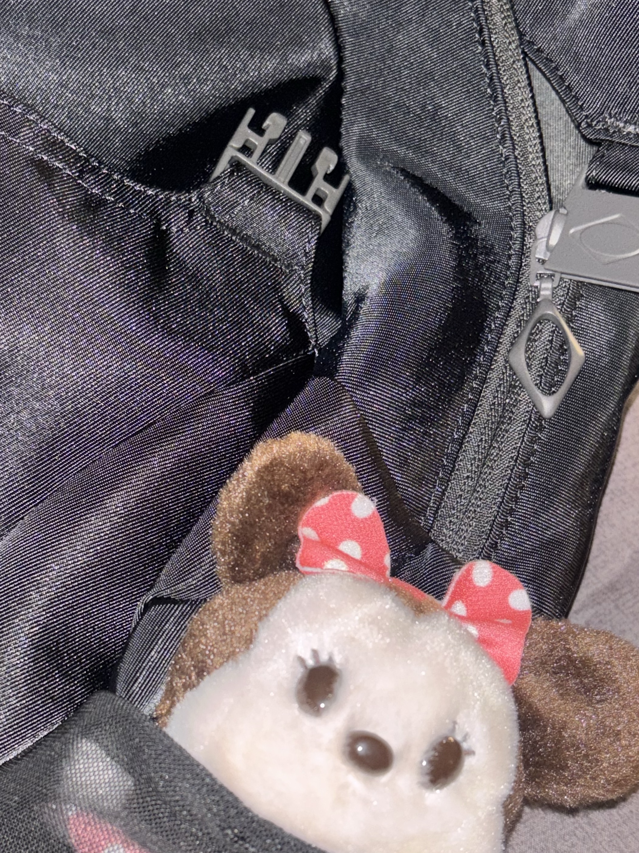 Mischief Buckle Flap Backpack Black 착용 스타일 - 3