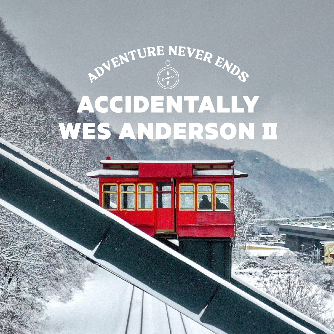 [새해 프로모션] 우연히 웨스 앤더슨 2([New Year Promotion] Accidentally Wes Anderson 2)