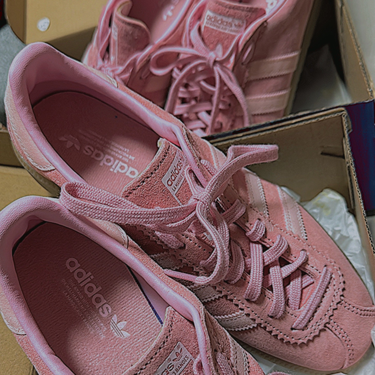 Adidas Bermuda Glow Pink 착용 스타일