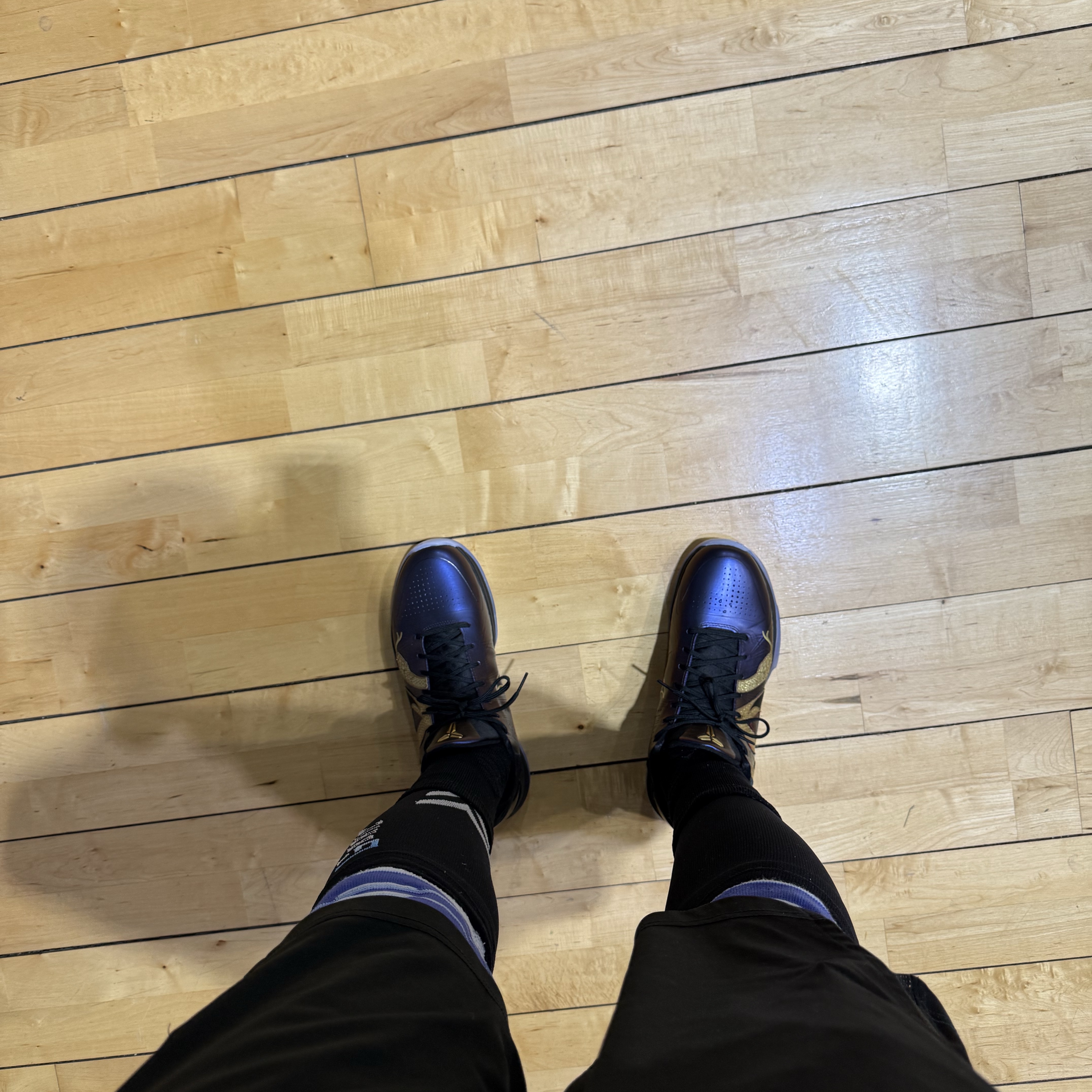 Nike Kobe 5 Protro Year of the Mamba Eggplant 착용 스타일