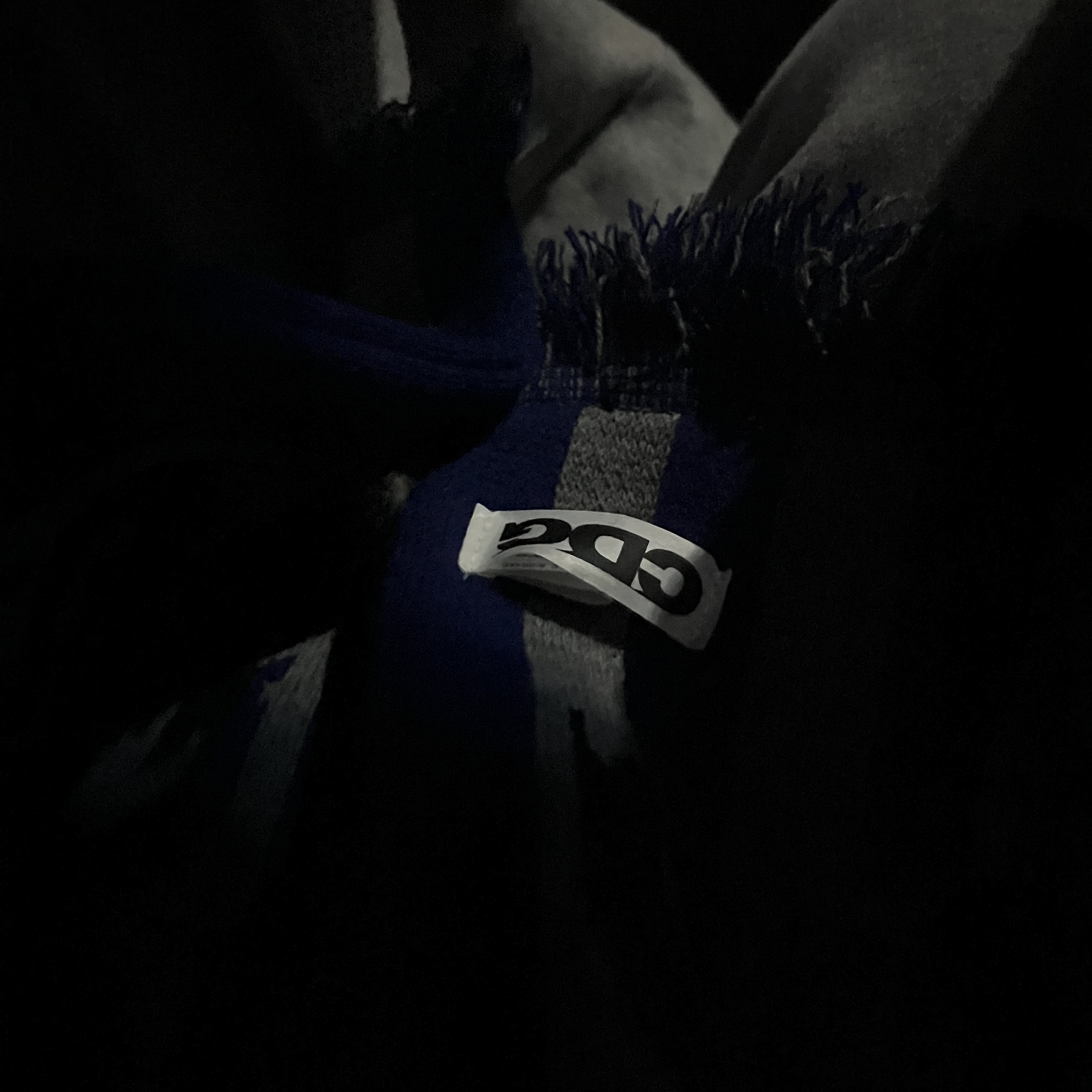 CDG Logo Check Muffler Blue 착용 스타일