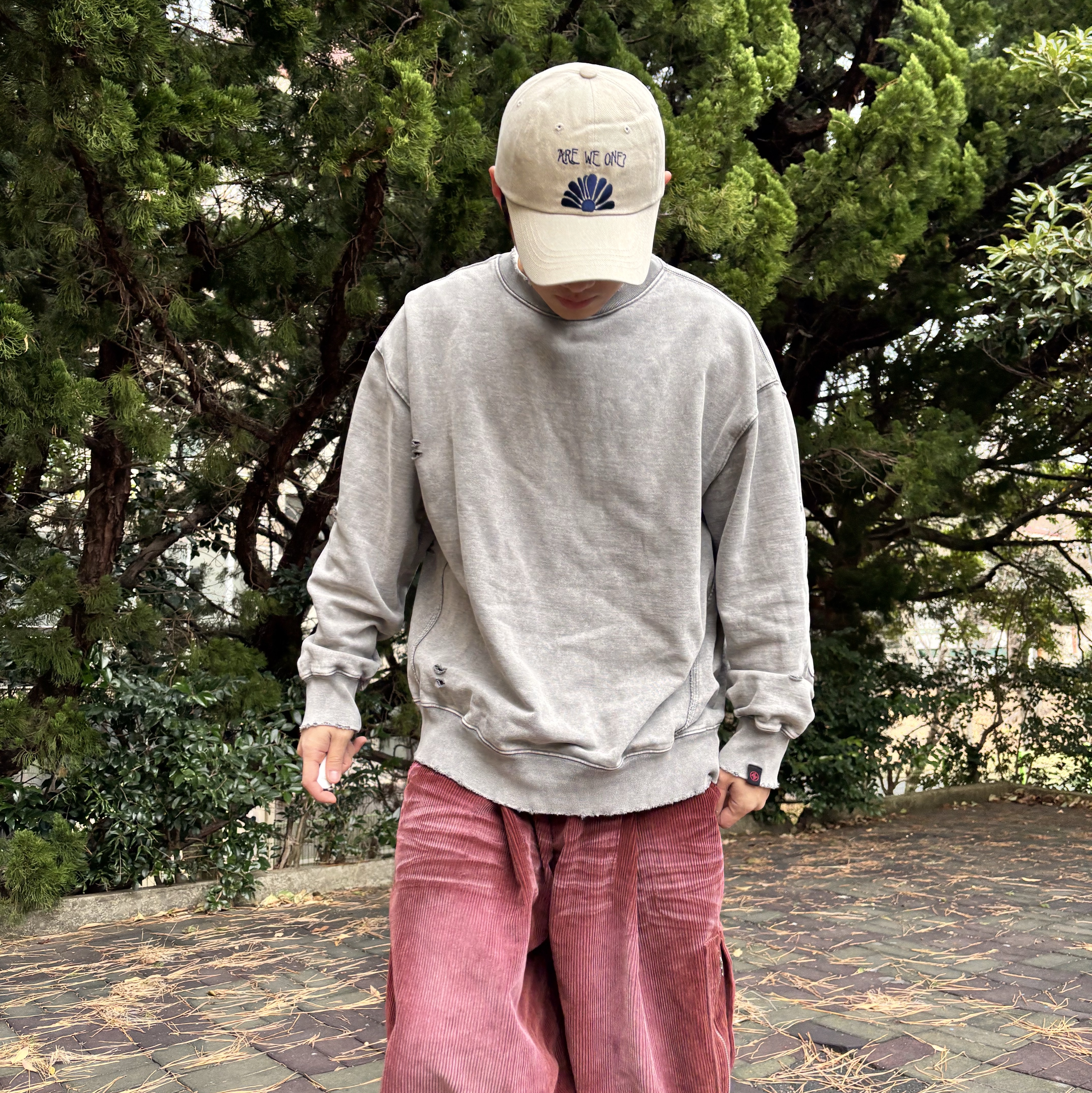 DVAN Daisy Rise Emb Ball Cap Beige 착용 스타일 - 3