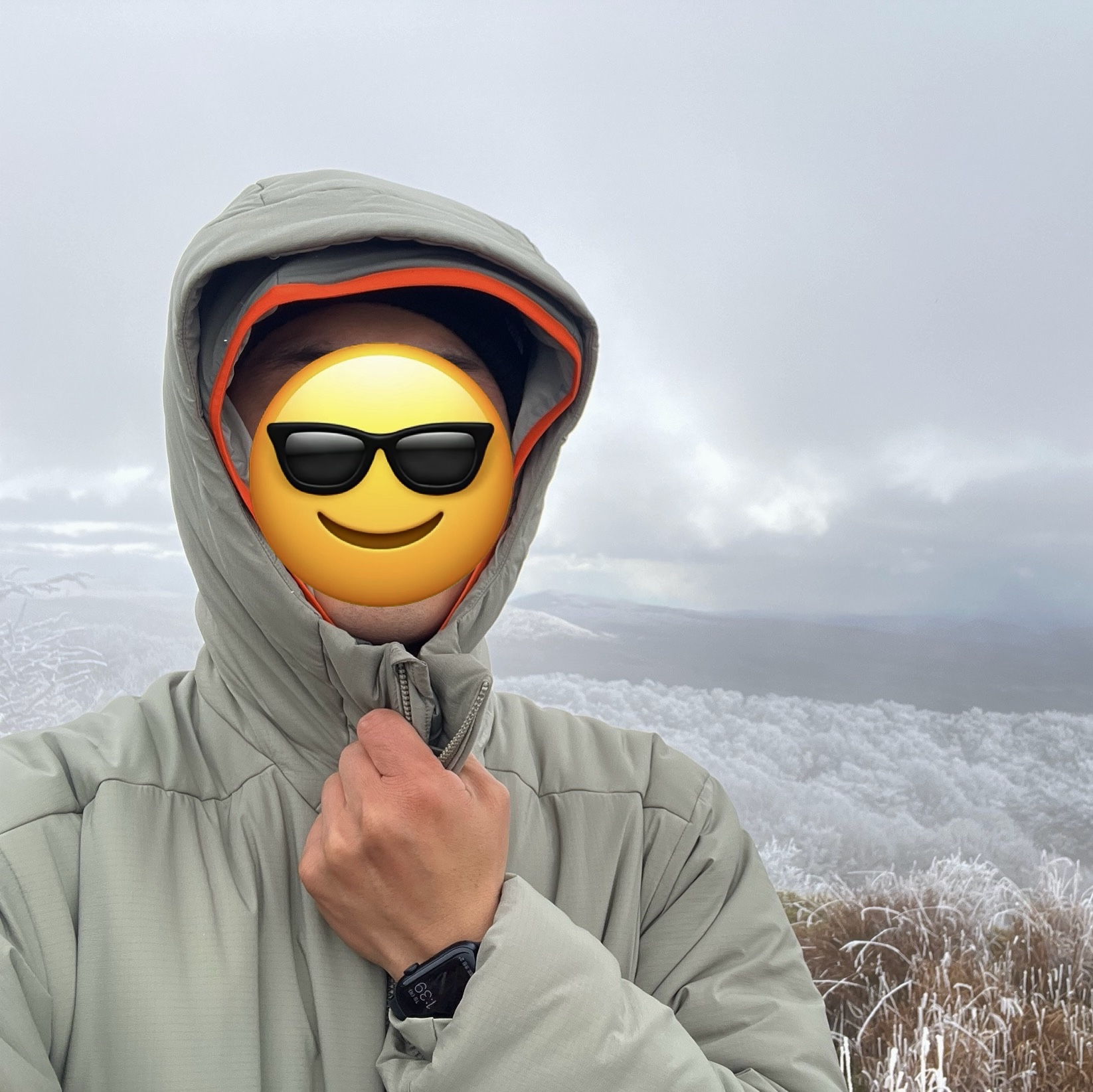 Arc'teryx Atom LT Hoody Forage 착용 스타일