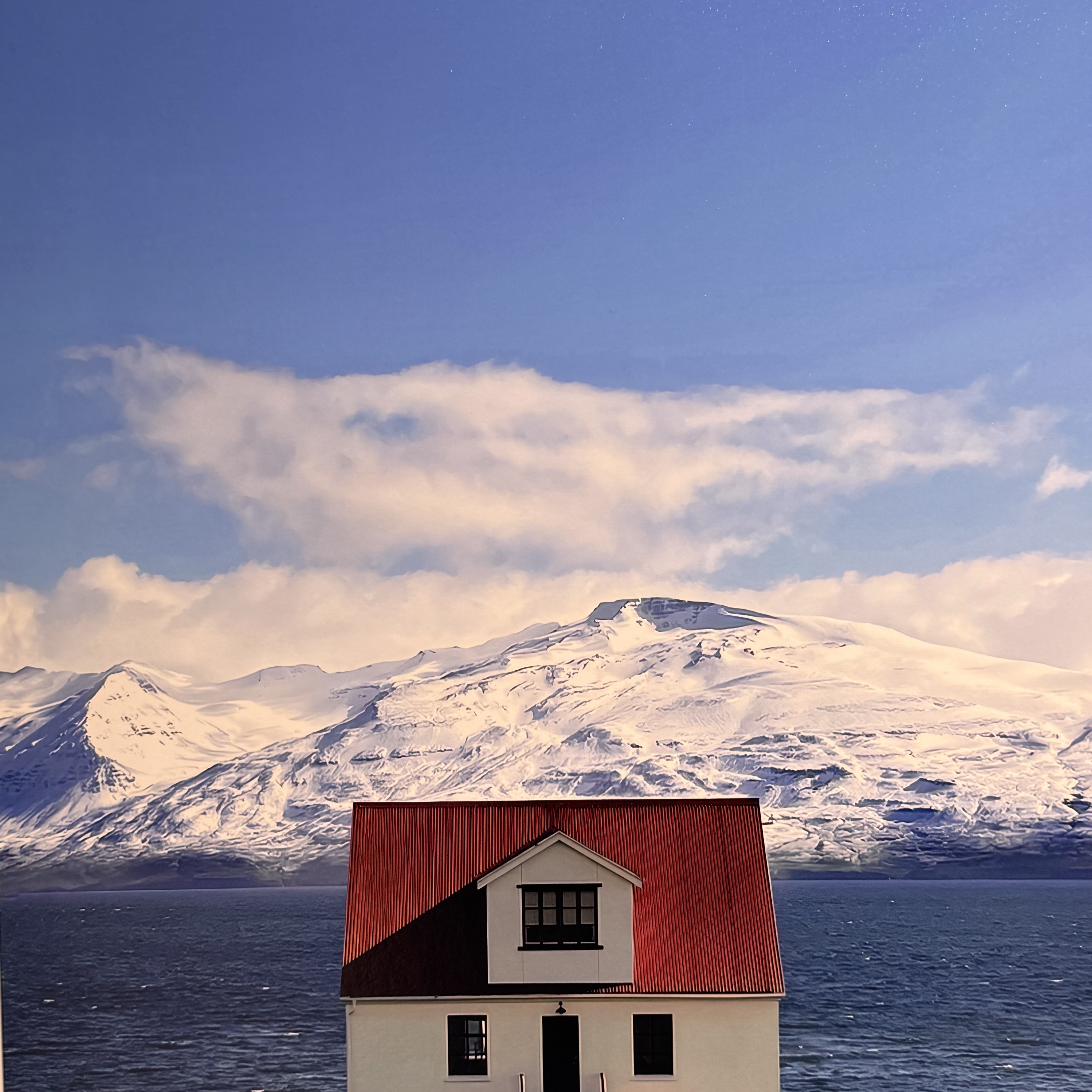 [New Year Promotion] Accidentally Wes Anderson 2 착용 스타일 - 2