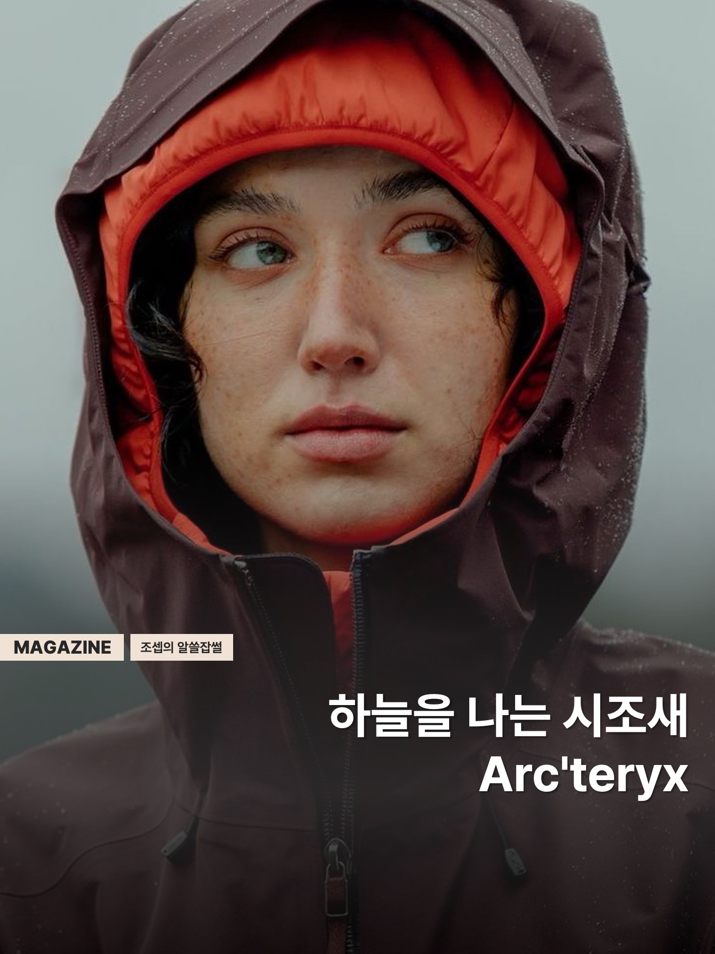 Arc'teryx Bird Head Toque Phenom, Arc'teryx Beta AR Jacket Black 착용 스타일 - 1