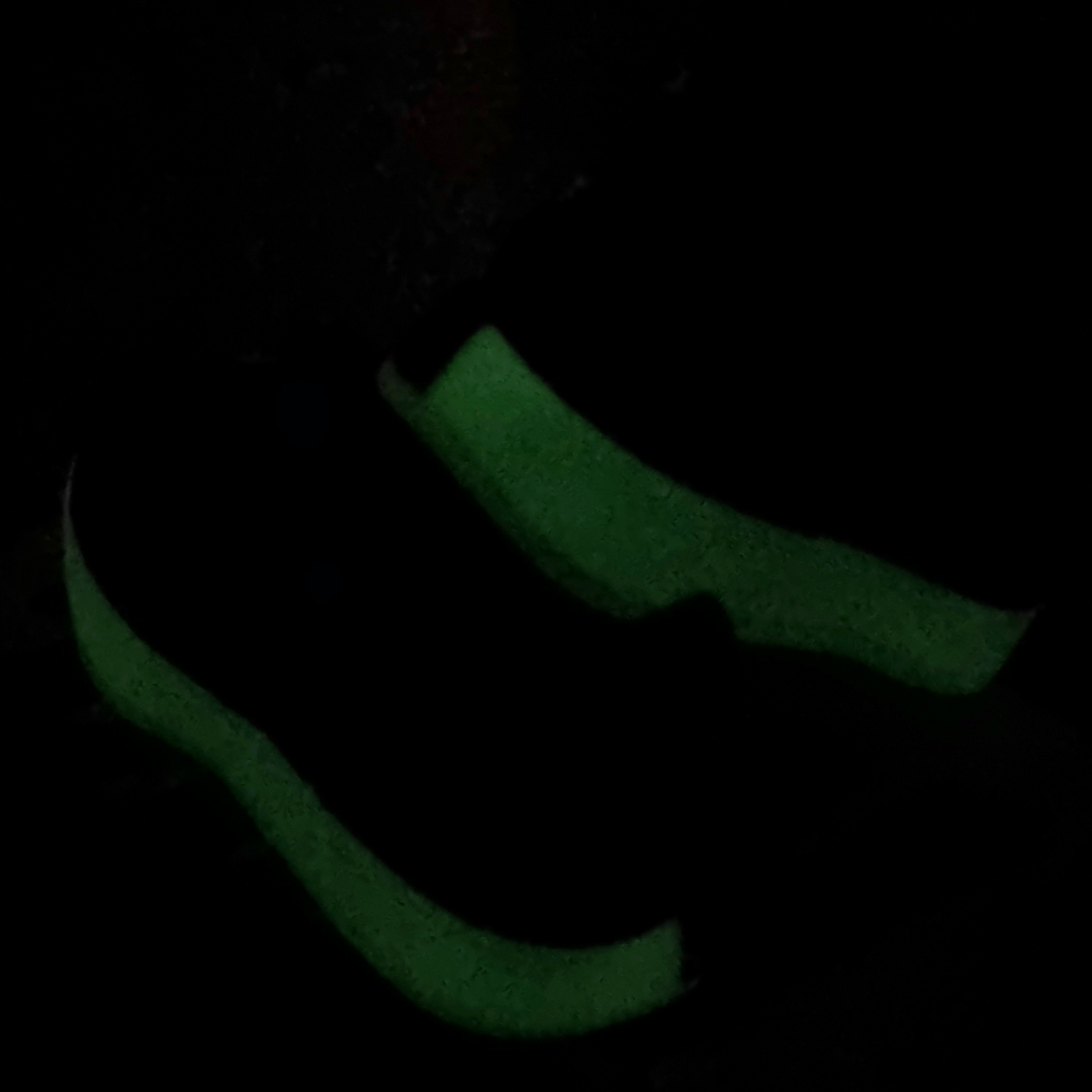 Nike Book 1 EP Halloween 착용 스타일 - 3