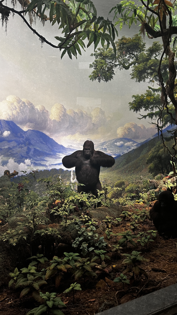 관심 유저 프로필 이미지