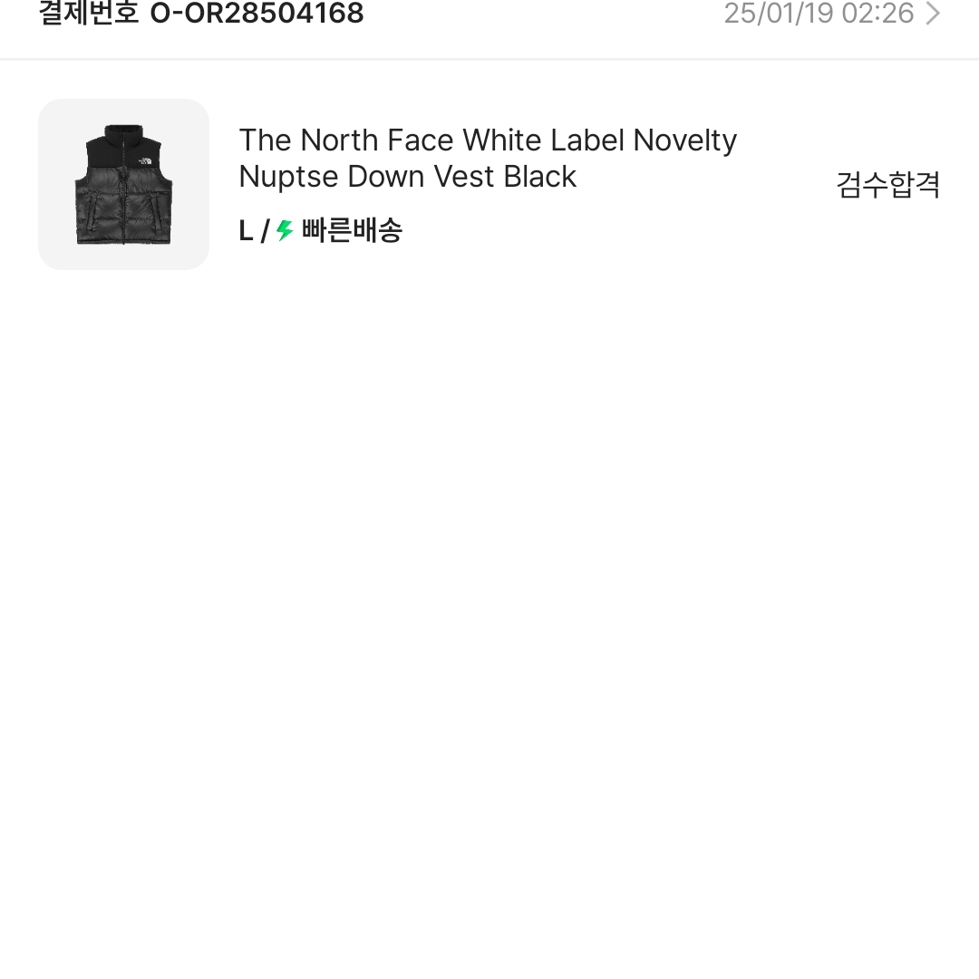 The North Face White Label Novelty Nuptse Down Vest Black 착용 스타일