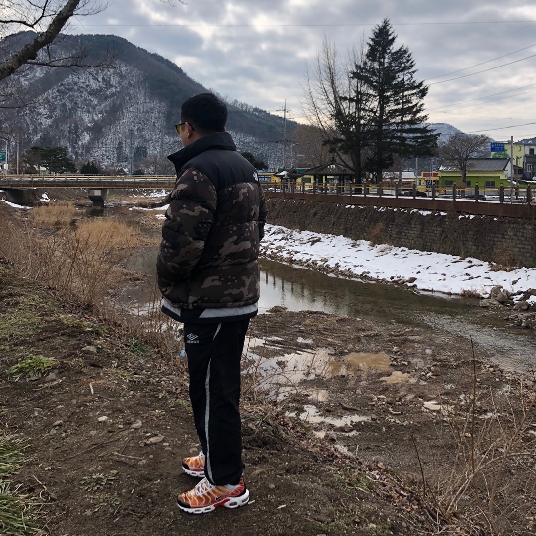 The North Face 1996 Novelty Nuptse Jacket Woodland Camo, Nike Air Max Plus Light Photography 착용 스타일 - 3