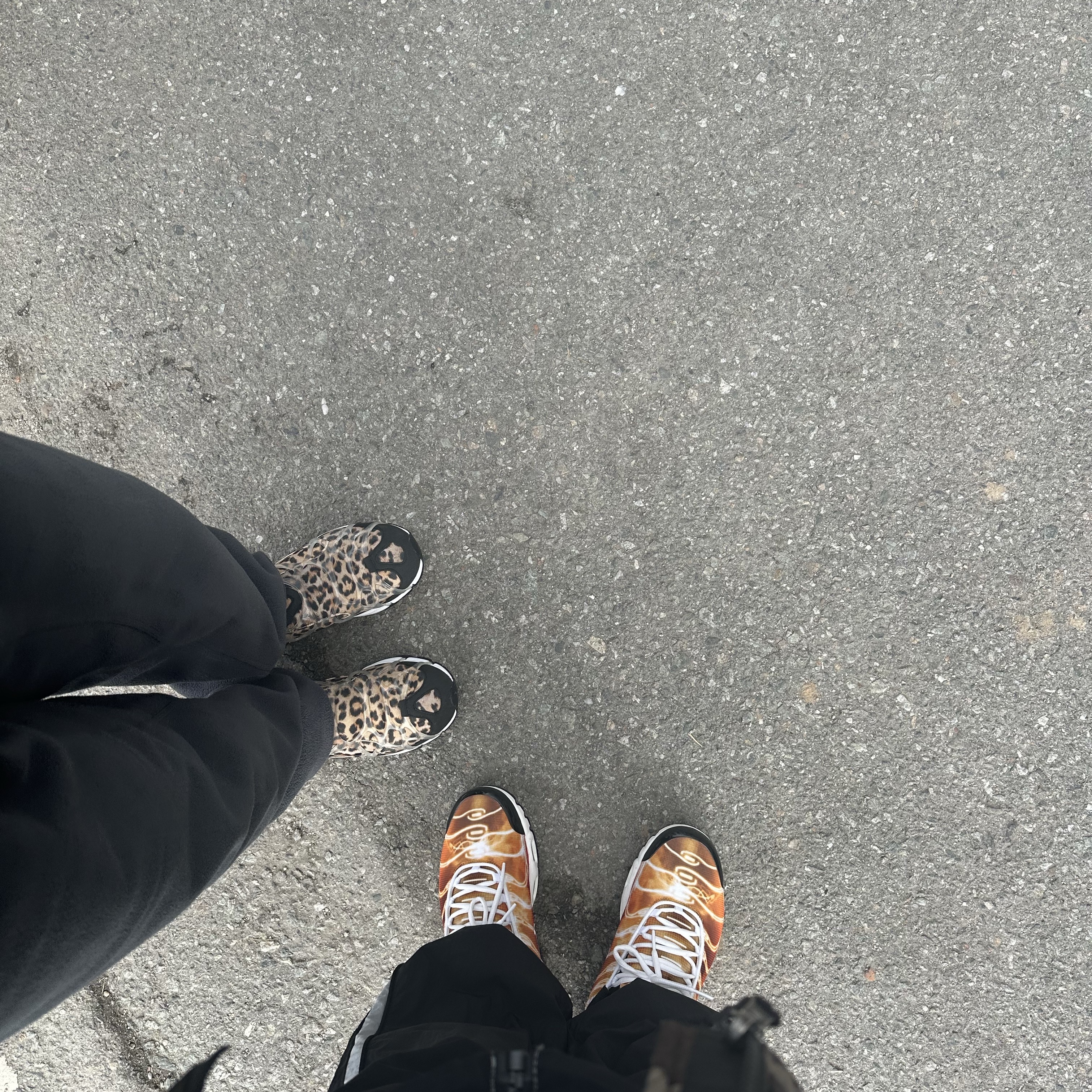 The North Face 1996 Novelty Nuptse Jacket Woodland Camo, Nike Air Max Plus Light Photography 착용 스타일 - 2