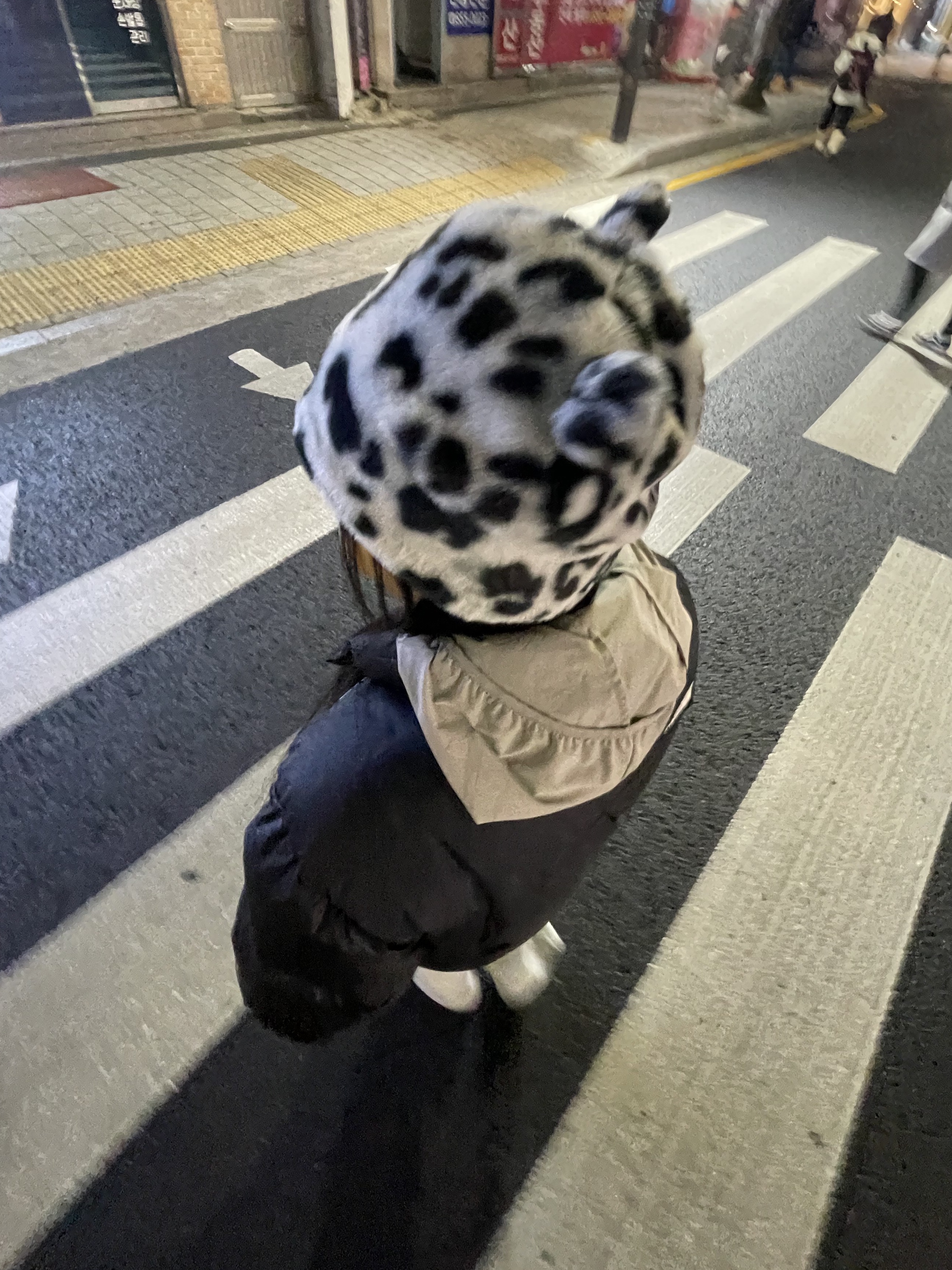Palace Furry Ears Nein Cuff Beanie Snow Leopard - 24FW 착용 스타일 - 2