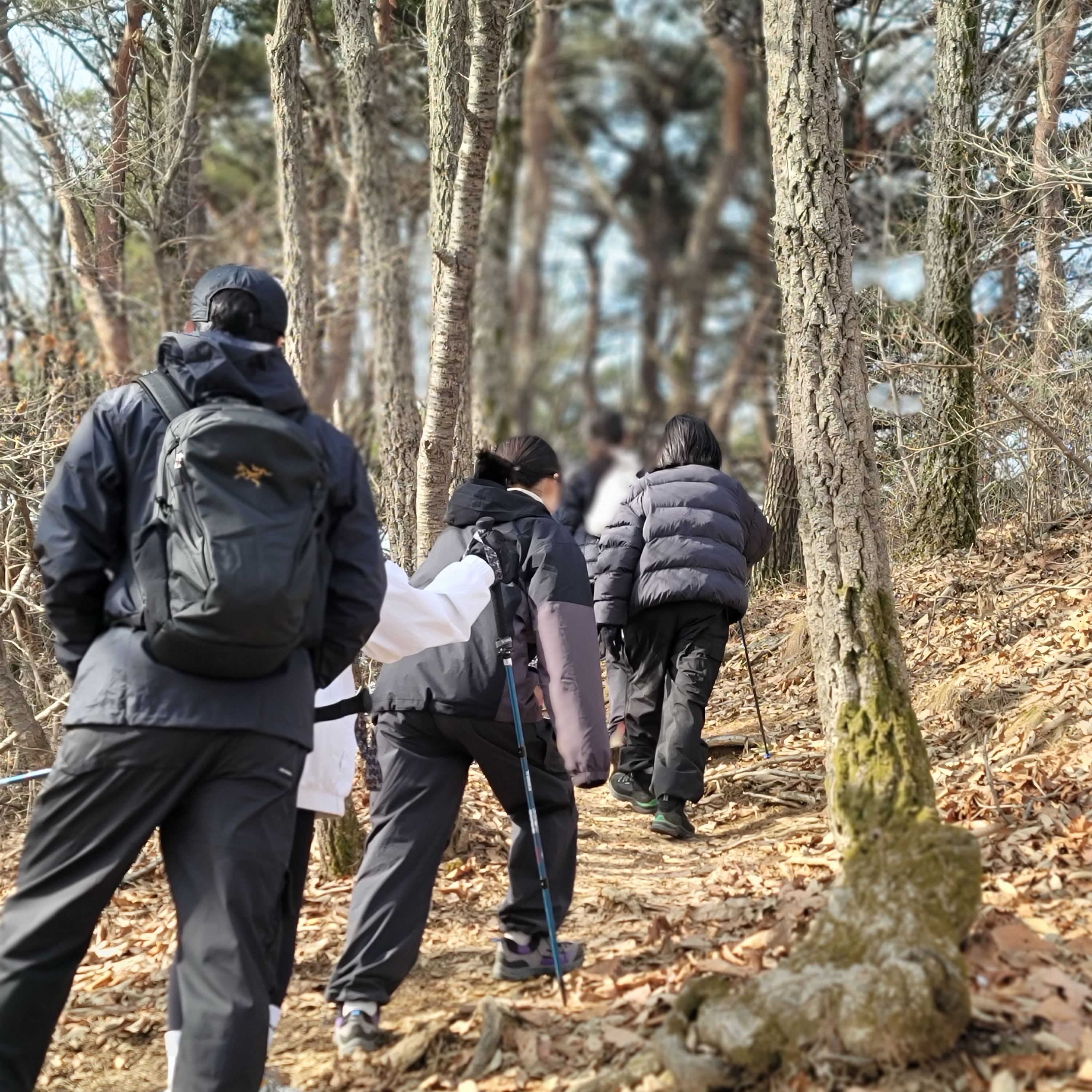Arc'teryx Mantis 26 Backpack Black 착용 스타일