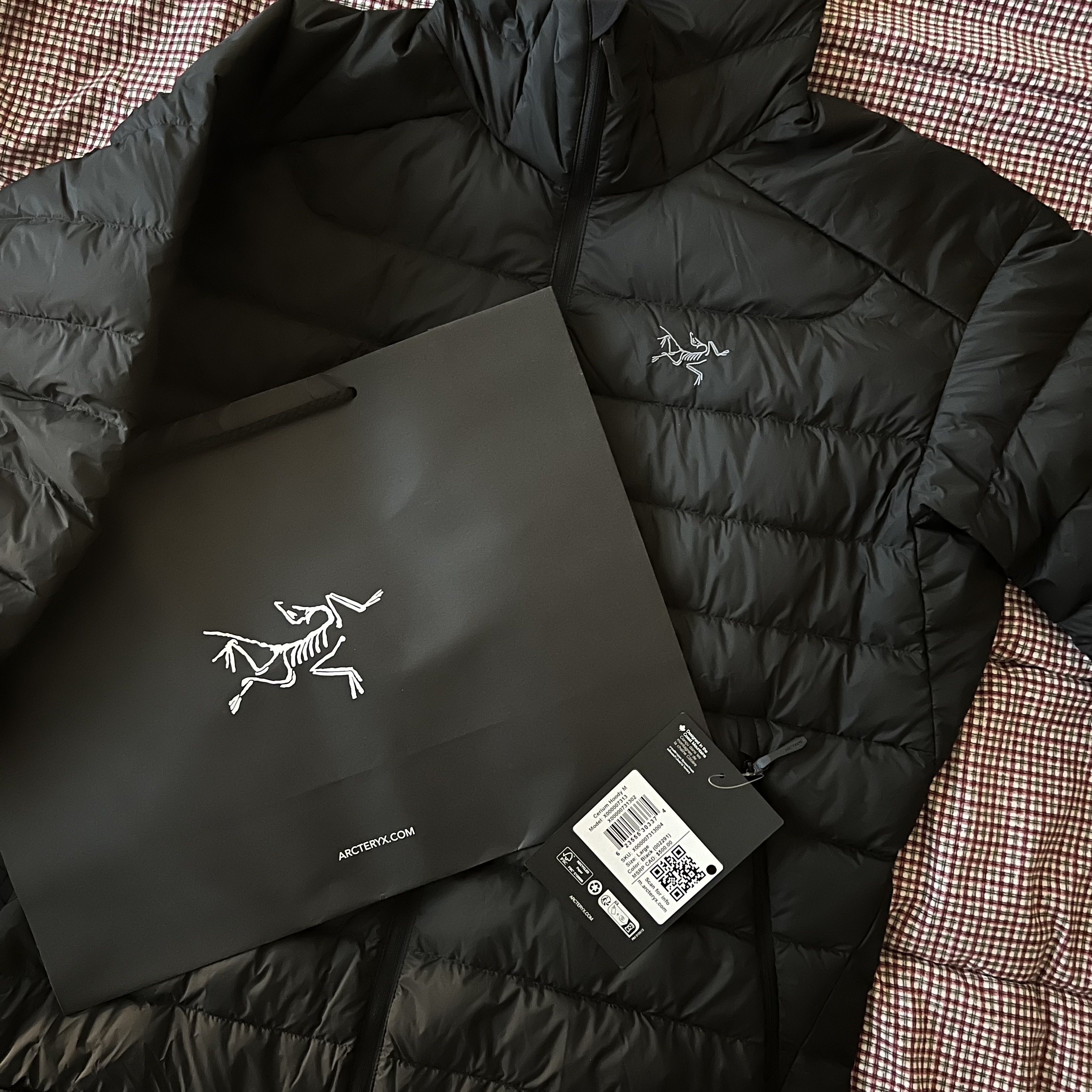 Arc'teryx Cerium Hoody Black 착용 스타일