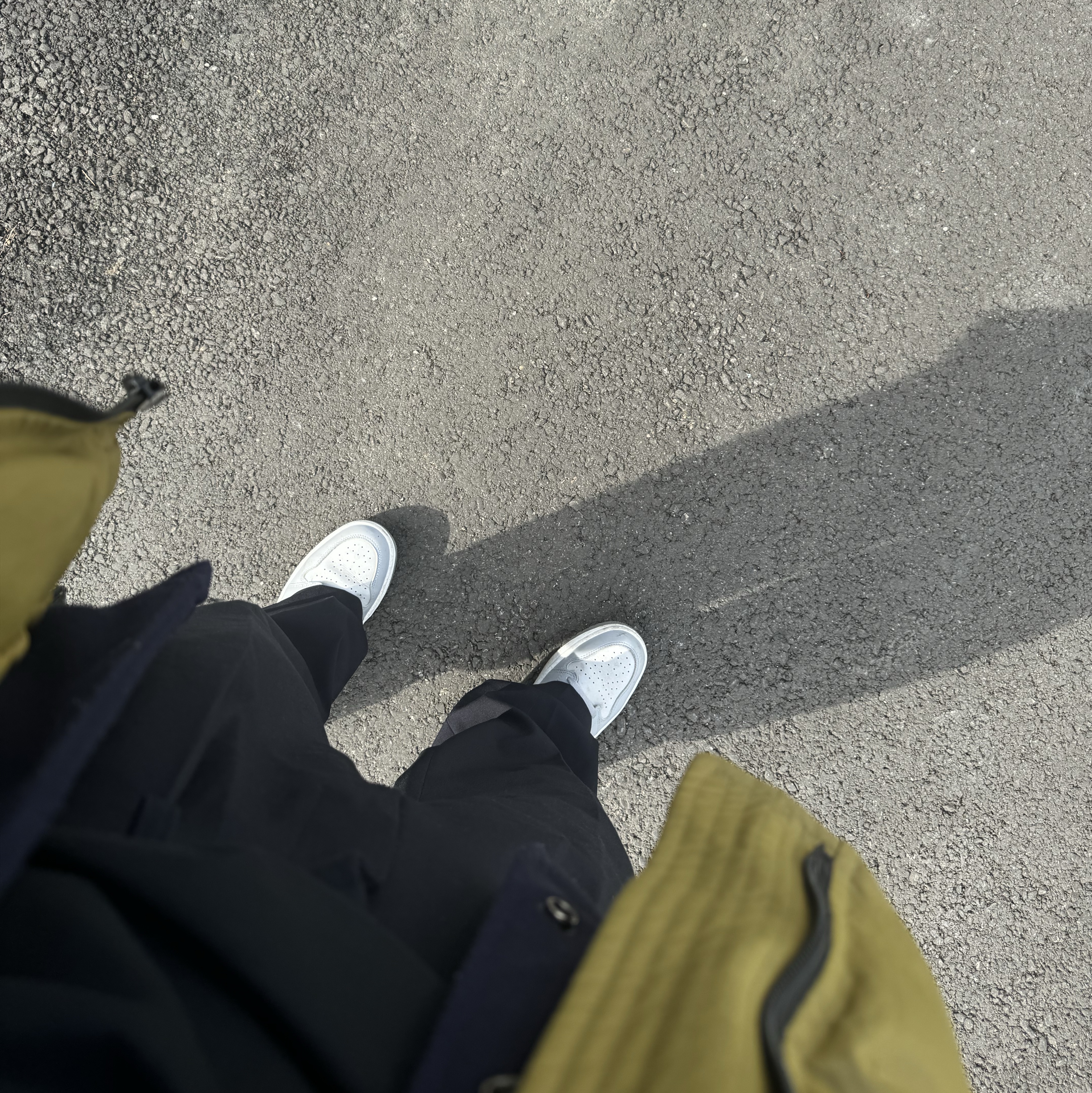 Jordan 1 Low Golf Wolf Grey 착용 스타일 - 2