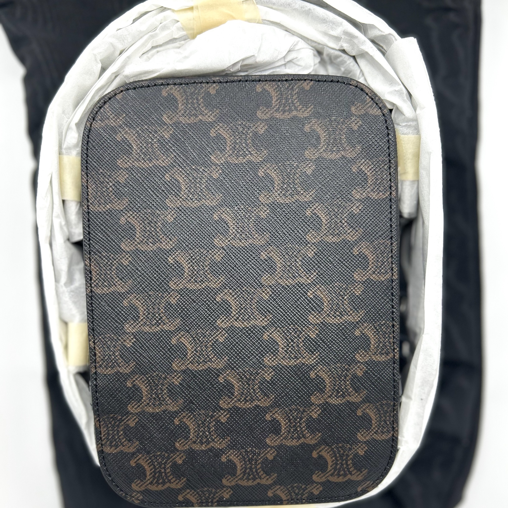 Celine Vertical Messenger Box Bag in Triomphe Canvas and Calfskin Black 착용 스타일 - 4