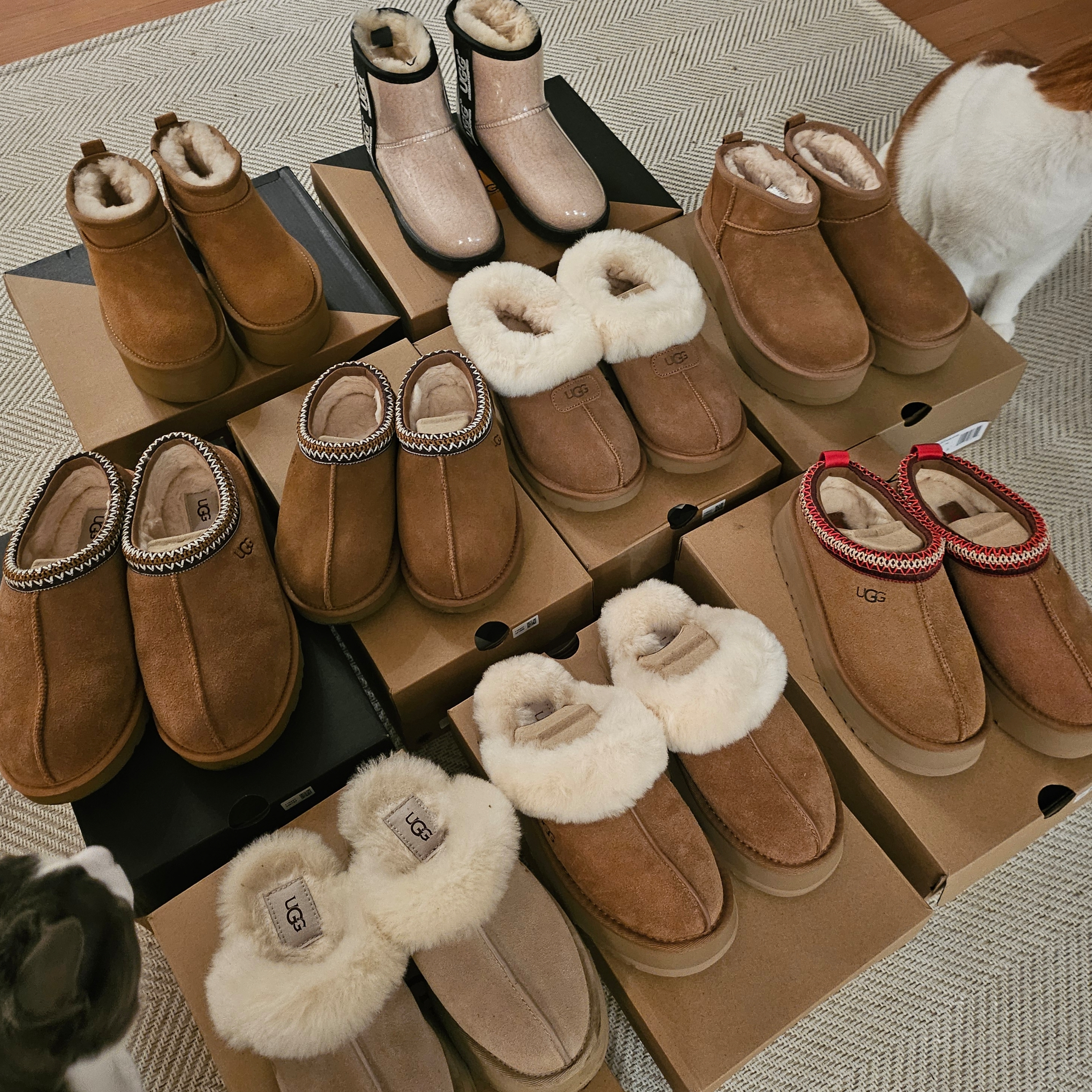 (W) UGG Disquette Slipper Chestnut, UGG Tasman Slipper Chestnut 착용 스타일