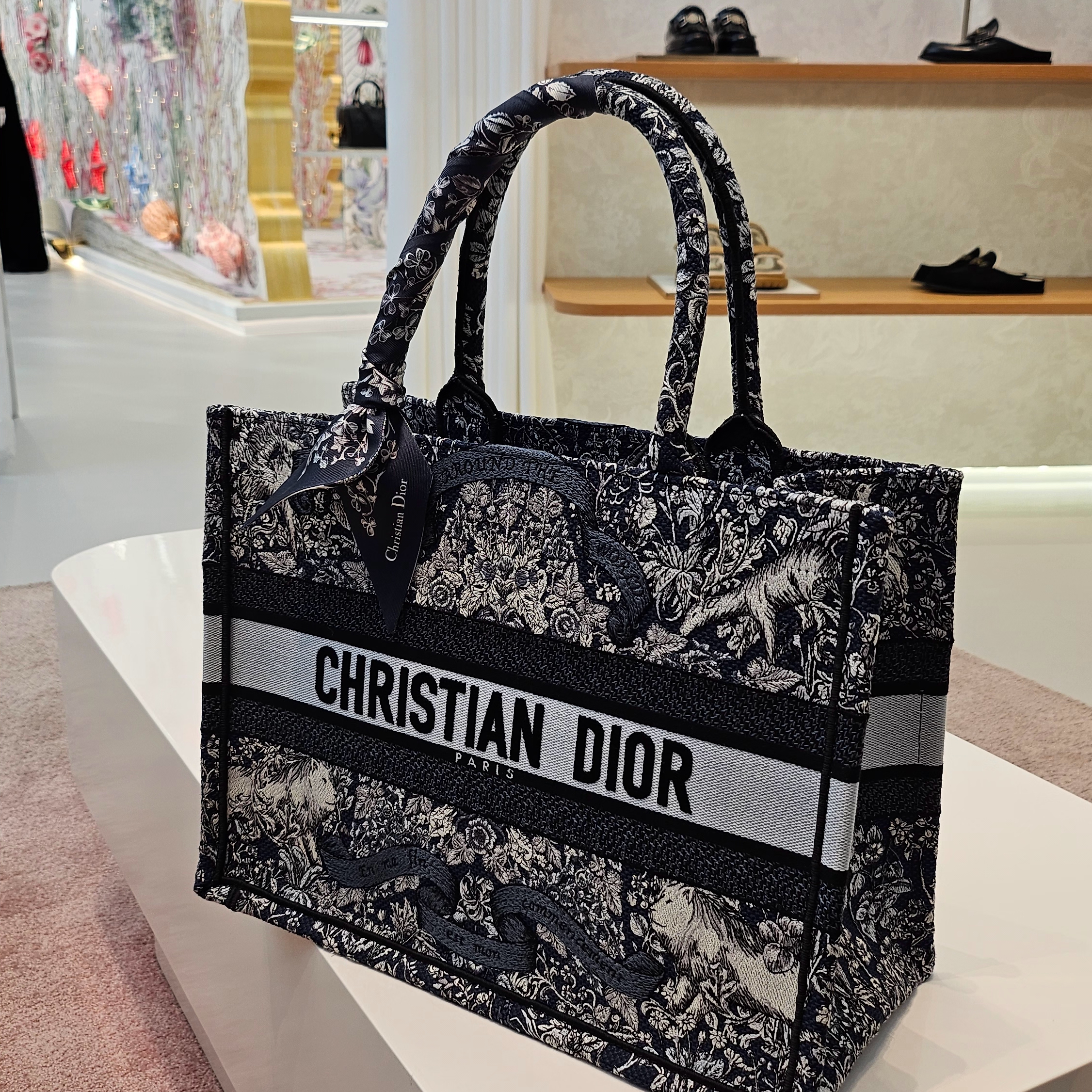Dior Small Book Tote Blue Dior Oblique Embroidery 착용 스타일