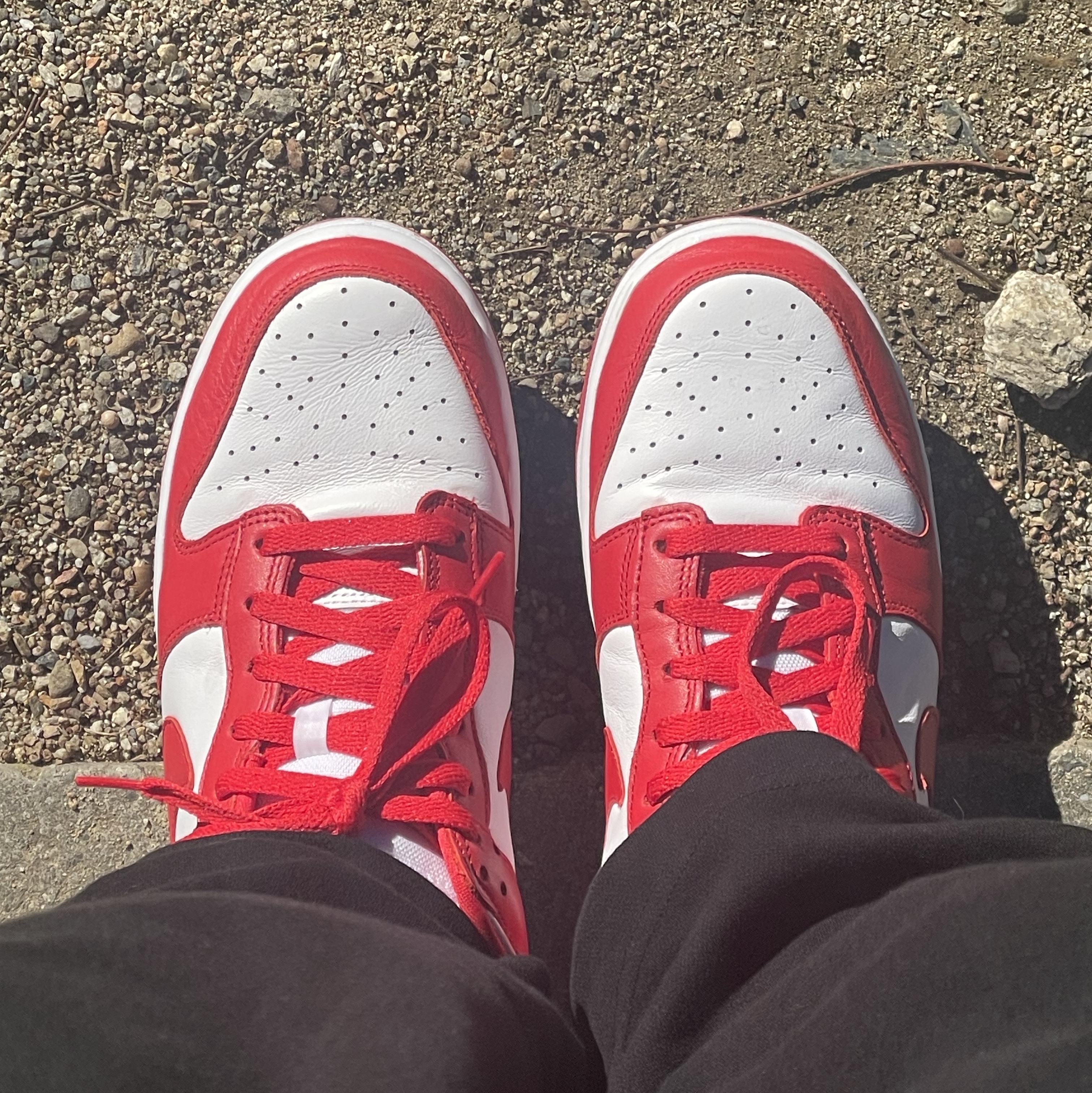 Nike Dunk Low SP White and University Red 2023 착용 스타일 - 1