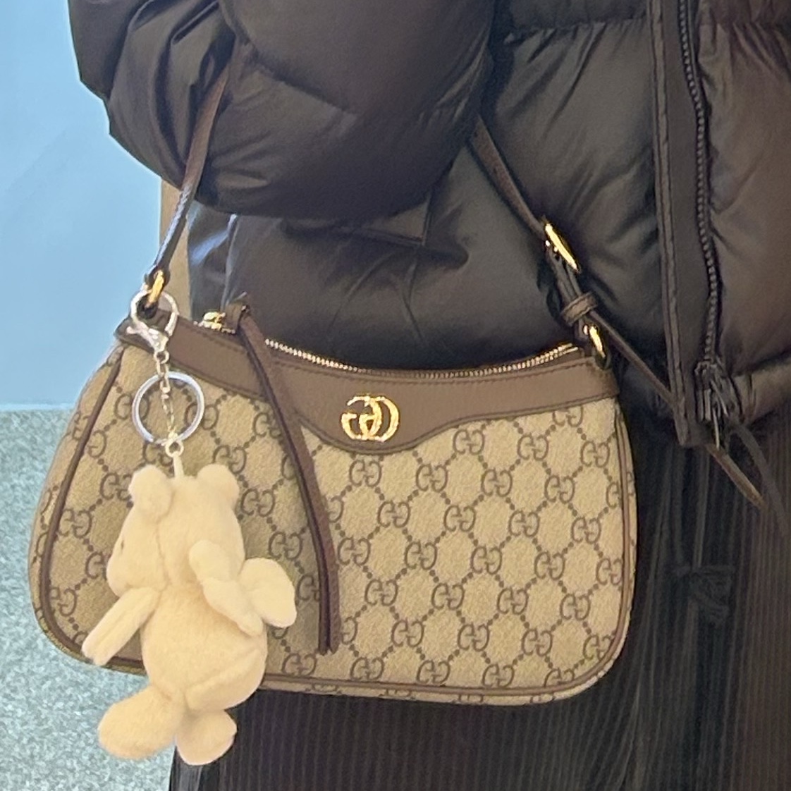 Gucci Ophidia GG Small Handbag Beige Ebony 착용 스타일