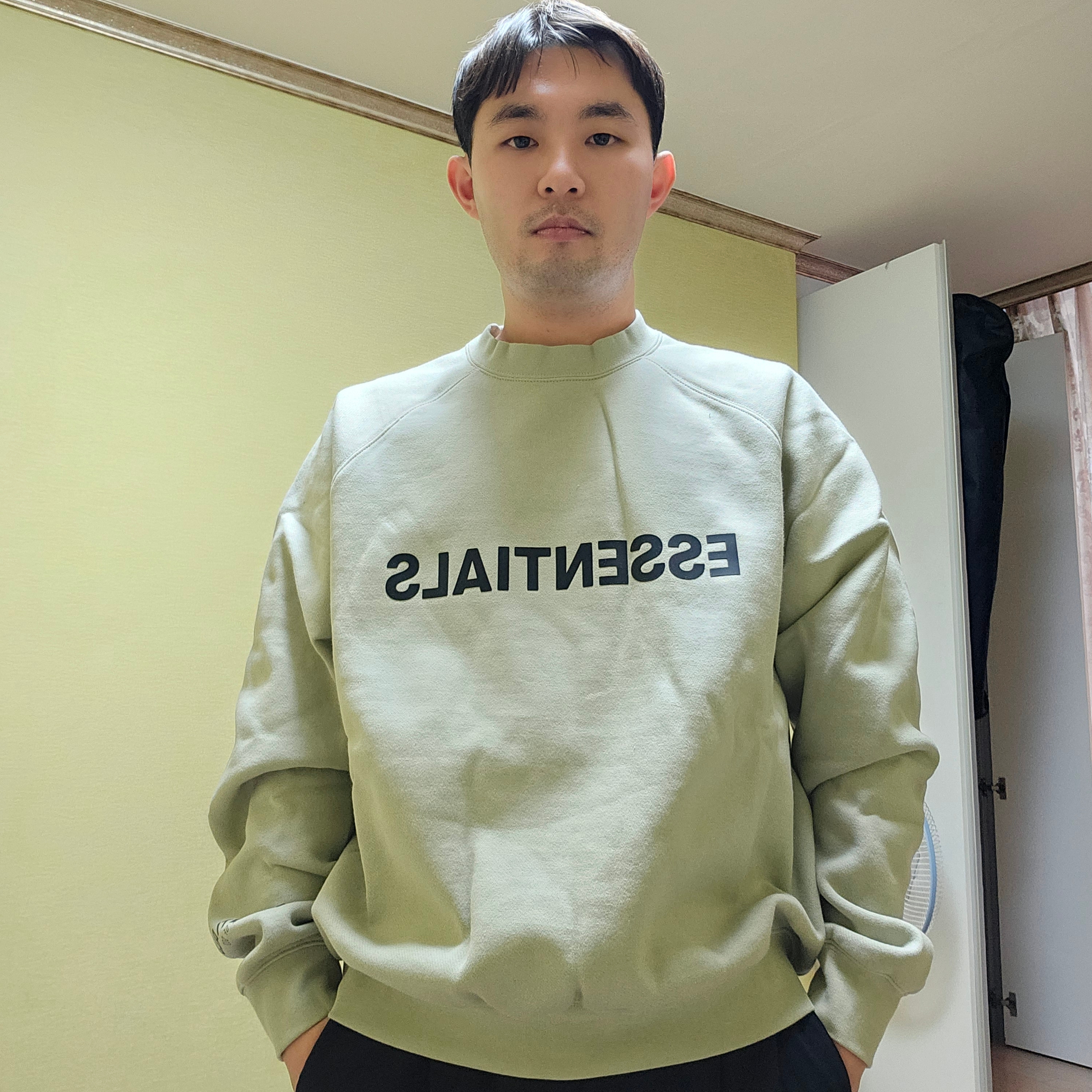 Essentials 3D Silicon Applique Crewneck Alfafa Sage - 20FW 착용 스타일