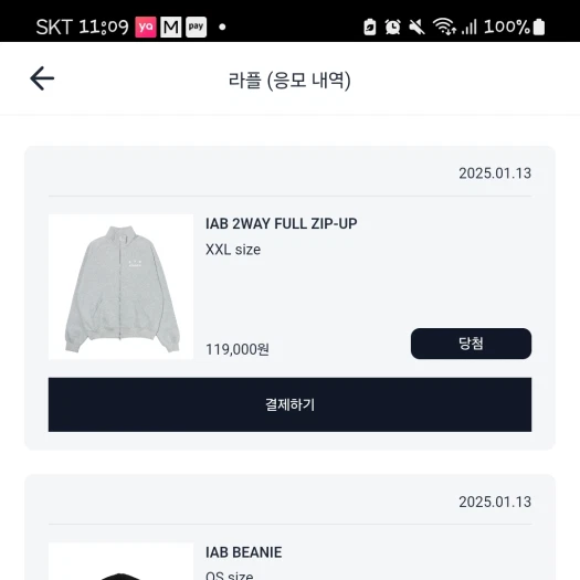 스타일 카드