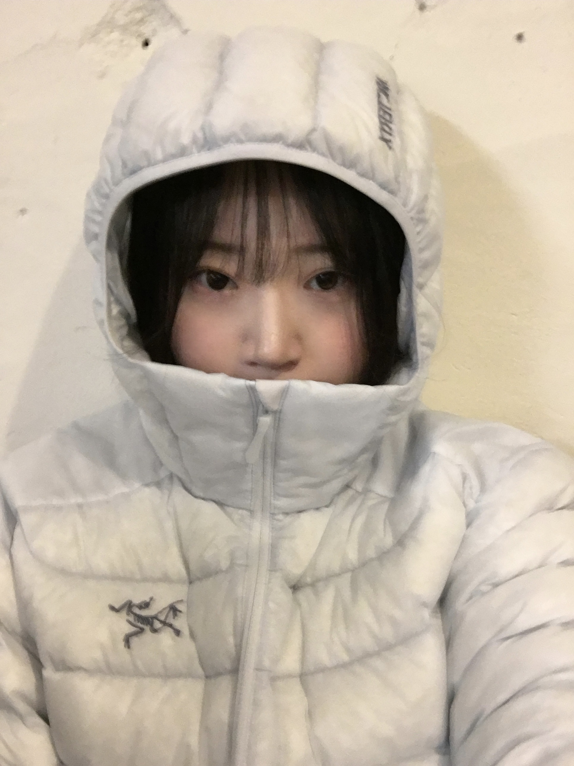 Arc'teryx Cerium Hoody Daybreak, Asics Gel-Nimbus 10.1 Black Midnight 착용 스타일 - 1