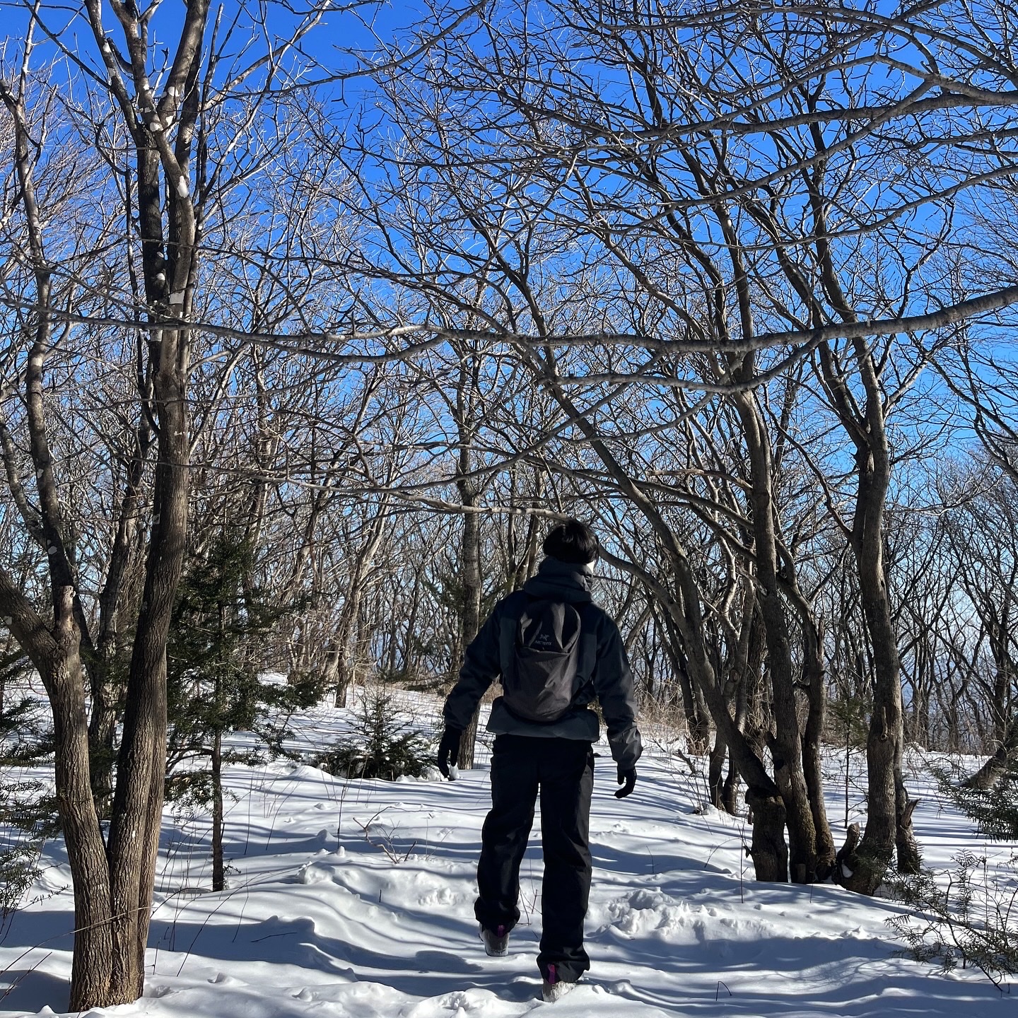 Arc'teryx Alpha AR Jacket Glitch, Supreme Windstopper Zip Gloves Black - 24FW 착용 스타일 - 2