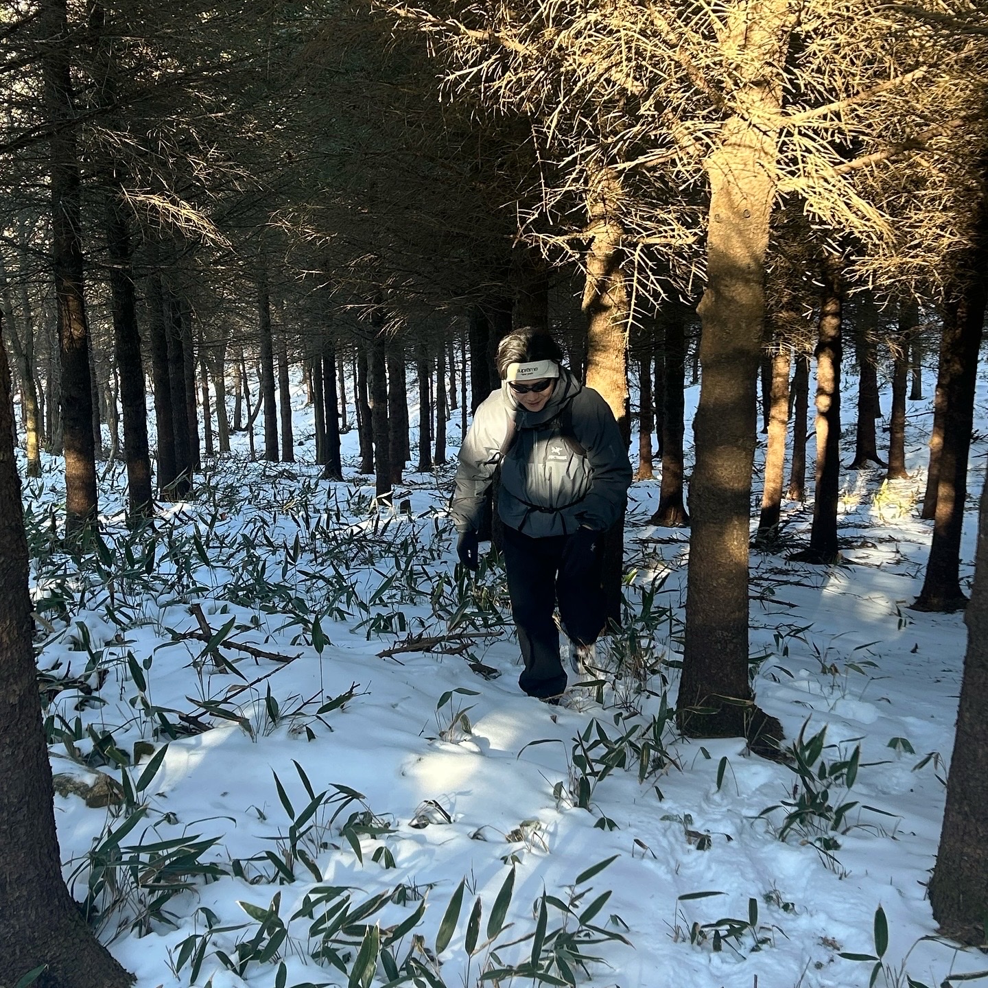 Arc'teryx Alpha AR Jacket Glitch, Supreme Windstopper Zip Gloves Black - 24FW 착용 스타일 - 1