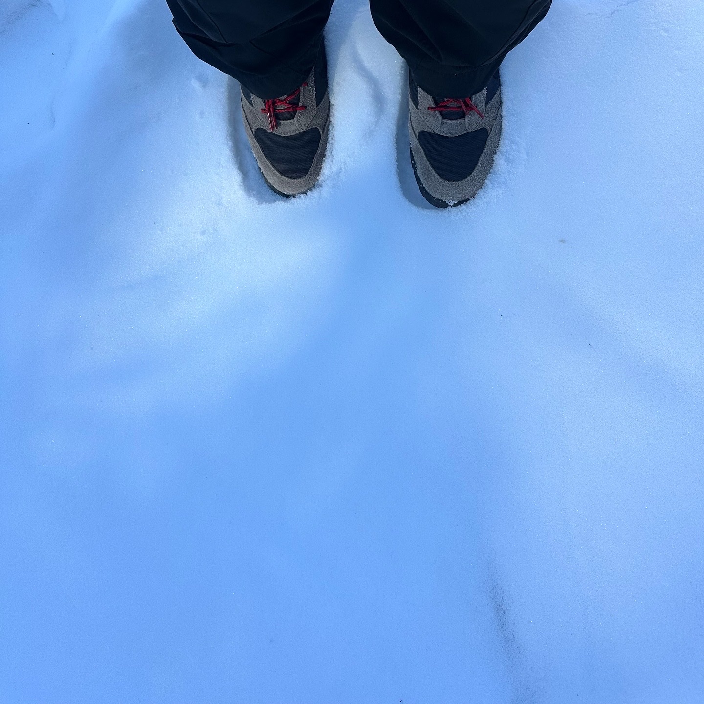 Arc'teryx Alpha AR Jacket Glitch, Supreme Windstopper Zip Gloves Black - 24FW 착용 스타일 - 3