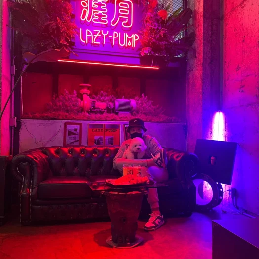 스타일 카드