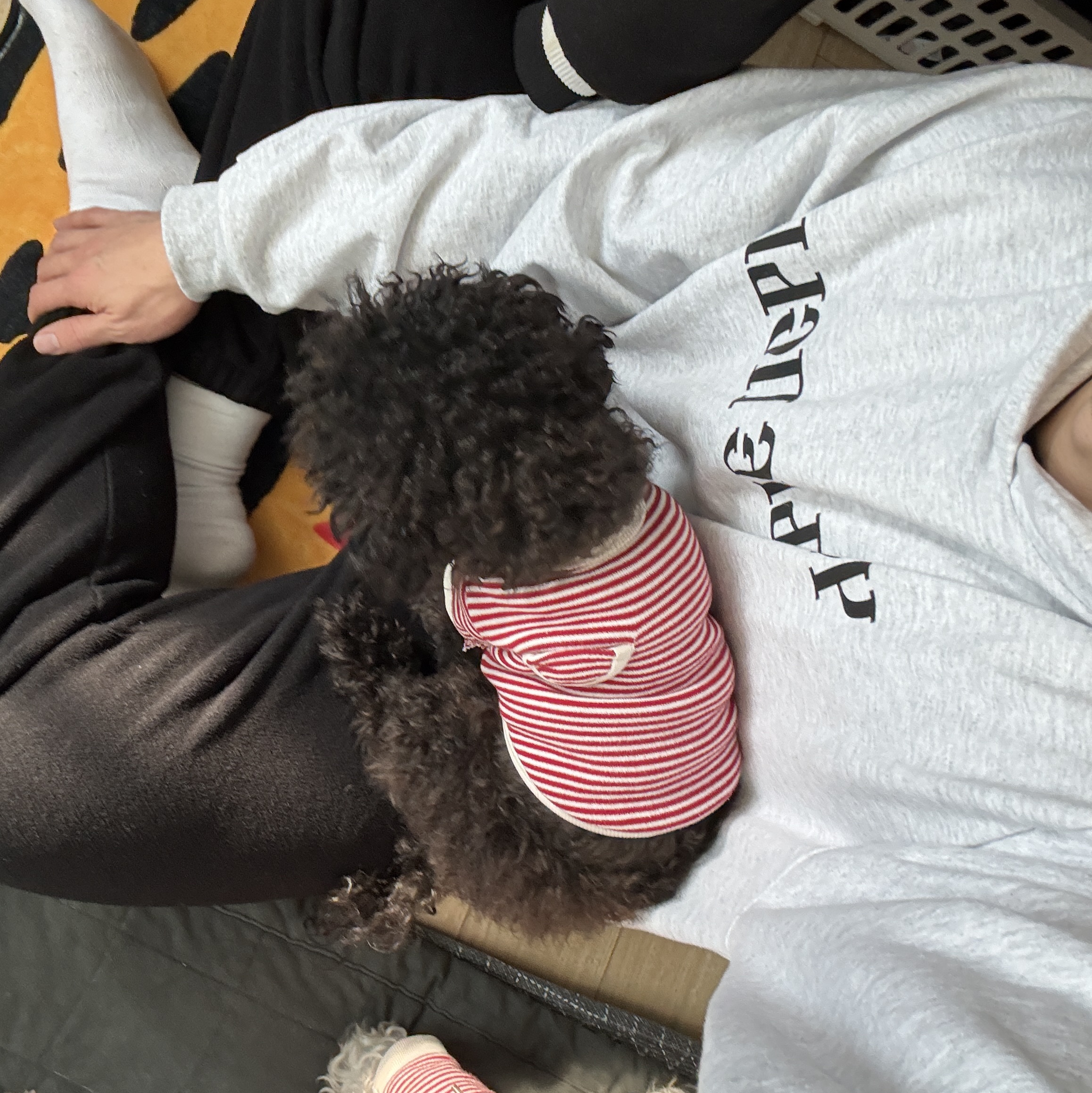 Yeezy x Gosha Rubchinskiy YZY Black Dogs Hoodie Heather Grey 착용 스타일
