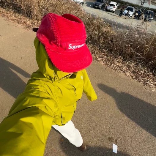 스타일 카드